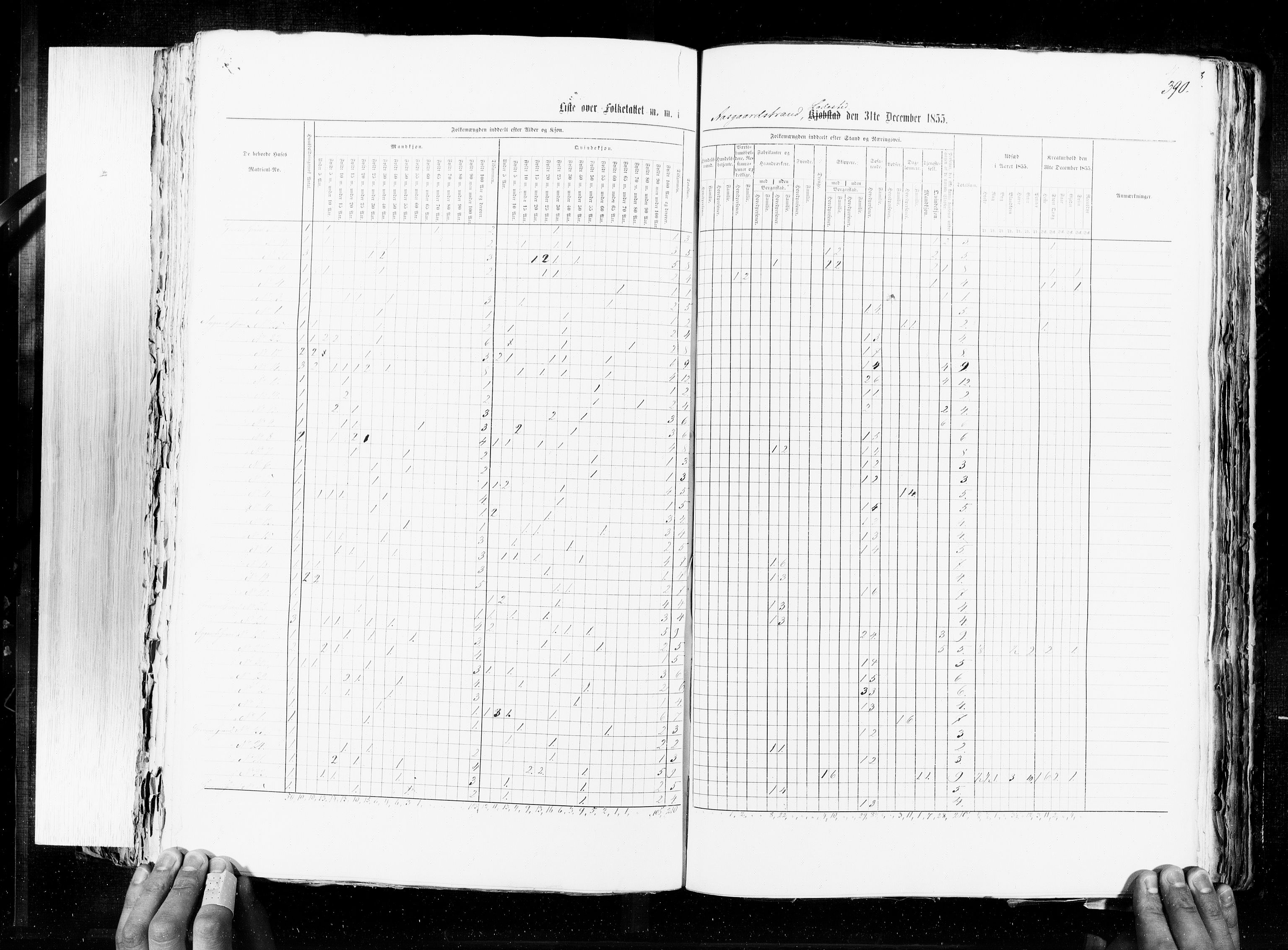 RA, Folketellingen 1855, bind 7: Kjøpsteder og ladesteder: Fredrikshald-Kragerø, 1855, s. 390