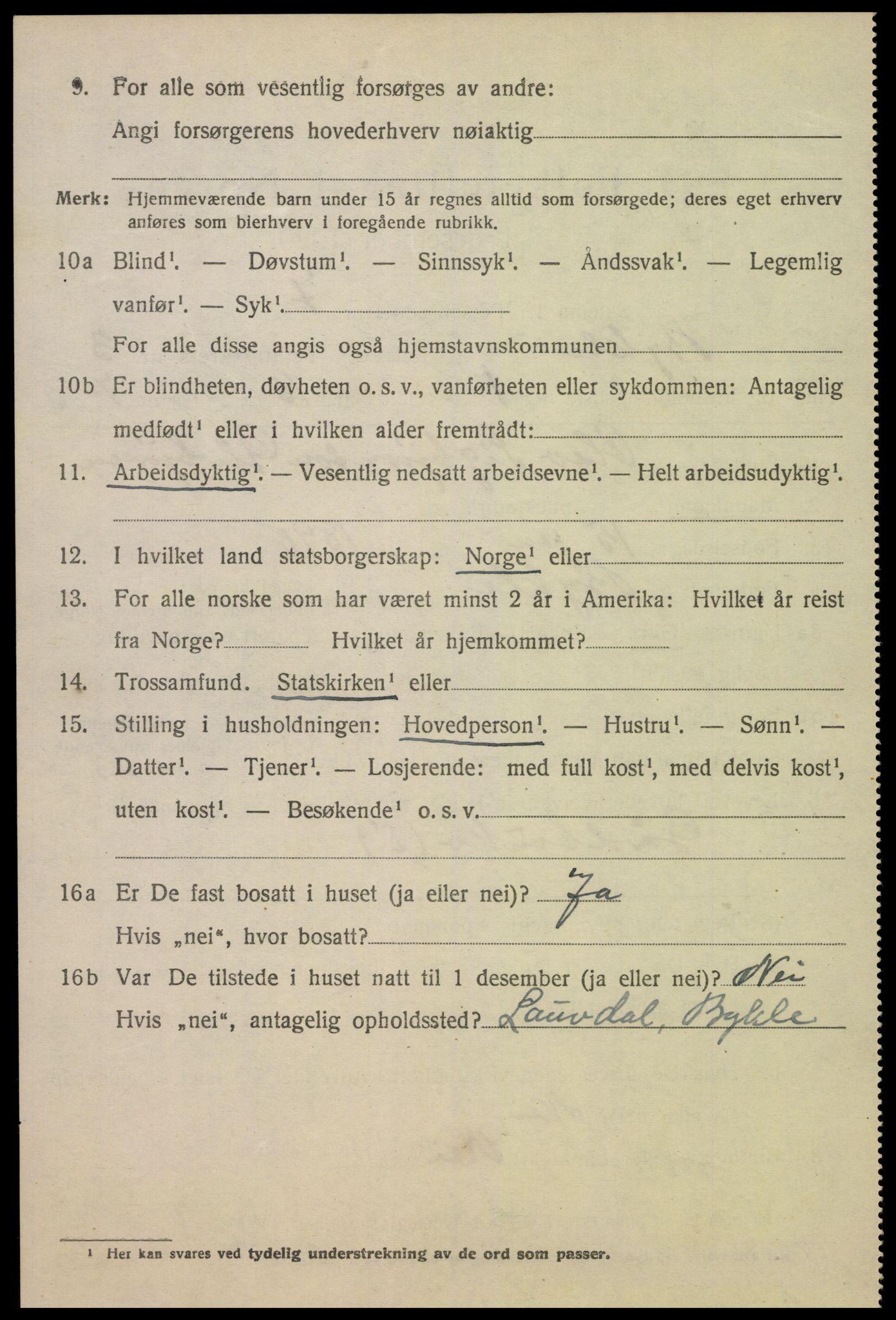 SAK, Folketelling 1920 for 0941 Bykle herred, 1920, s. 1036