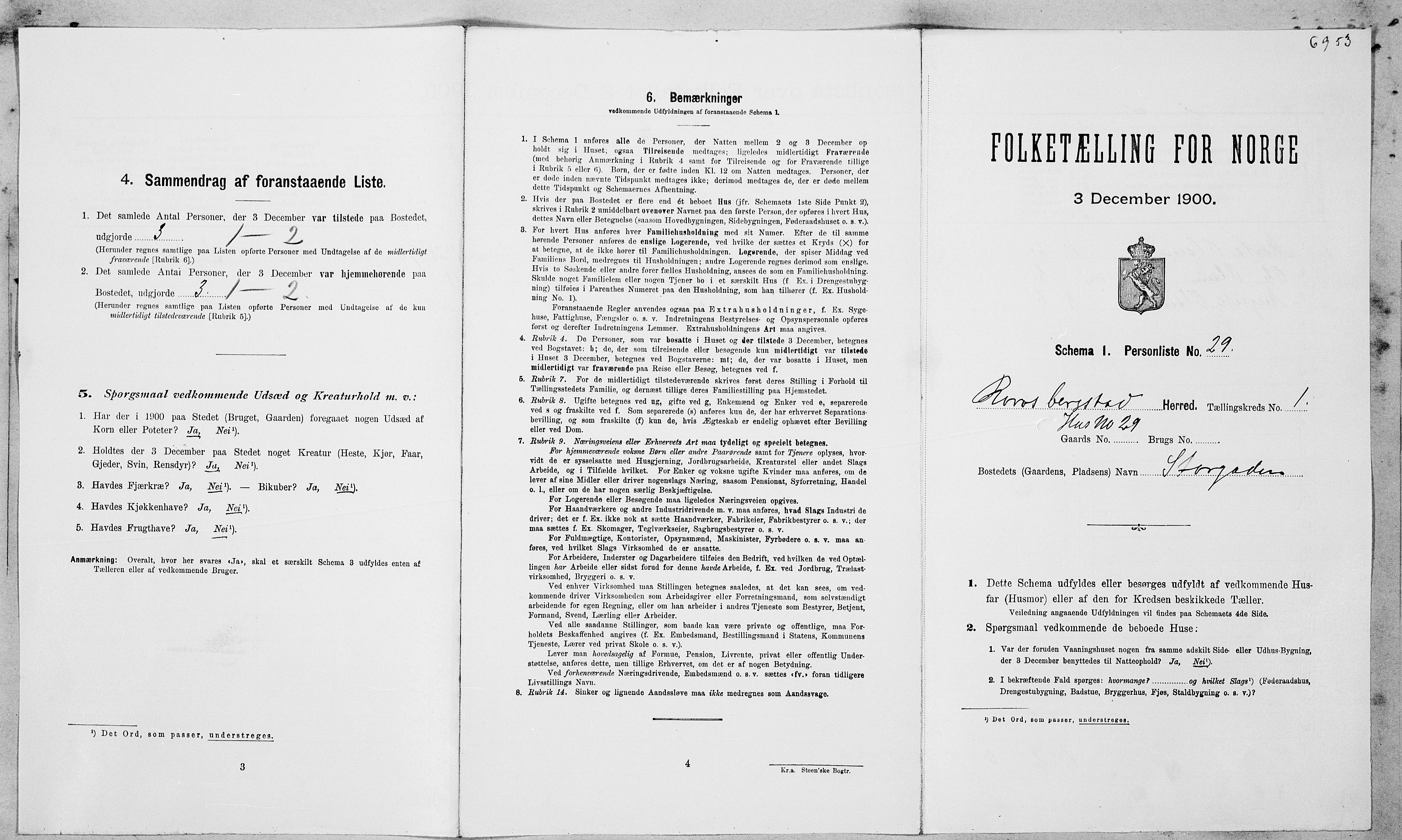 SAT, Folketelling 1900 for 1640 Røros herred, 1900, s. 100