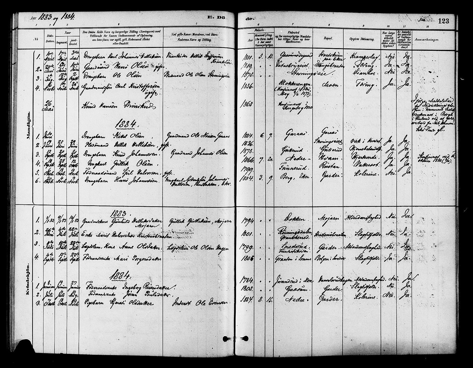 Flesberg kirkebøker, AV/SAKO-A-18/F/Fb/L0001: Ministerialbok nr. II 1, 1879-1907, s. 123