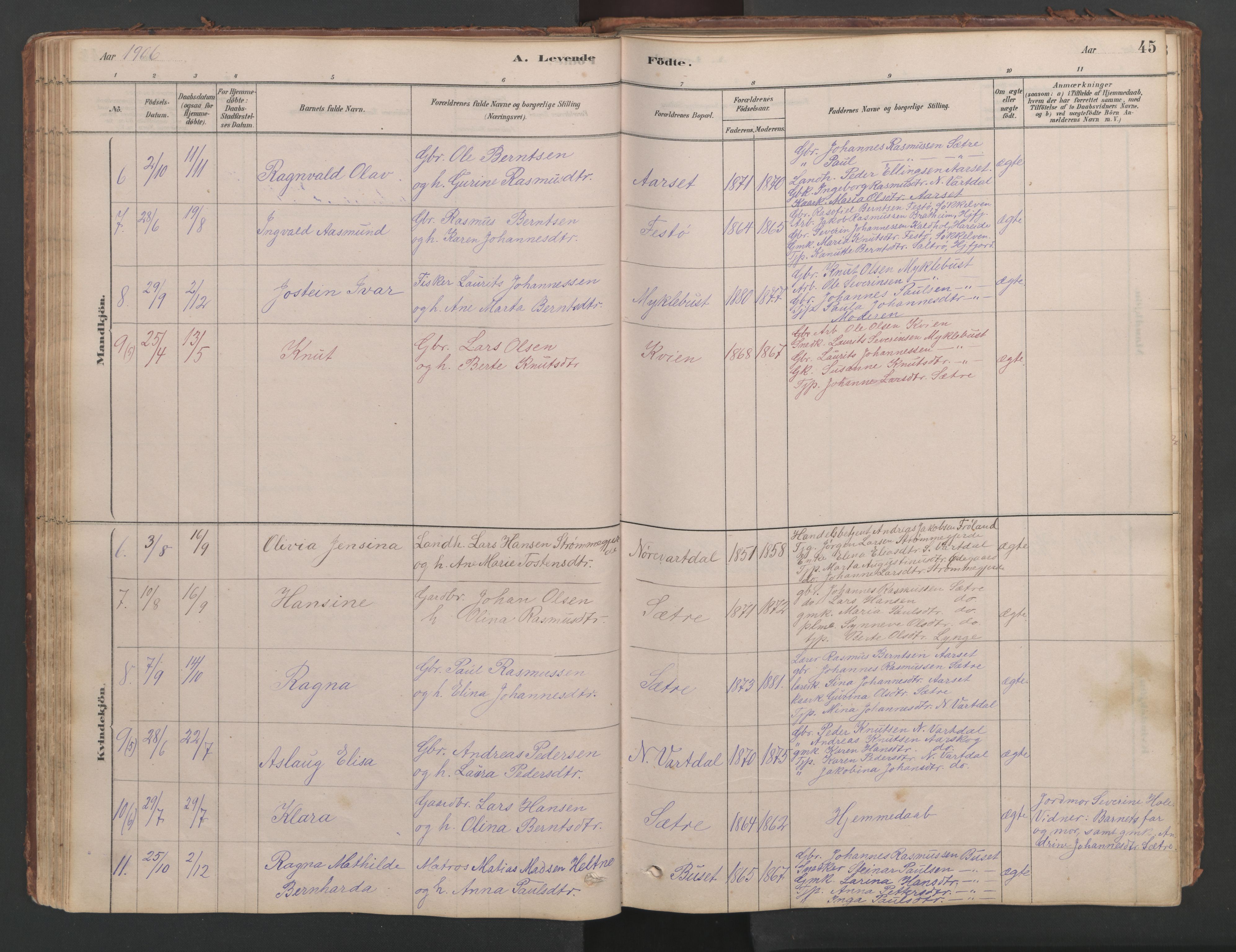 Ministerialprotokoller, klokkerbøker og fødselsregistre - Møre og Romsdal, SAT/A-1454/514/L0201: Klokkerbok nr. 514C01, 1878-1919, s. 45