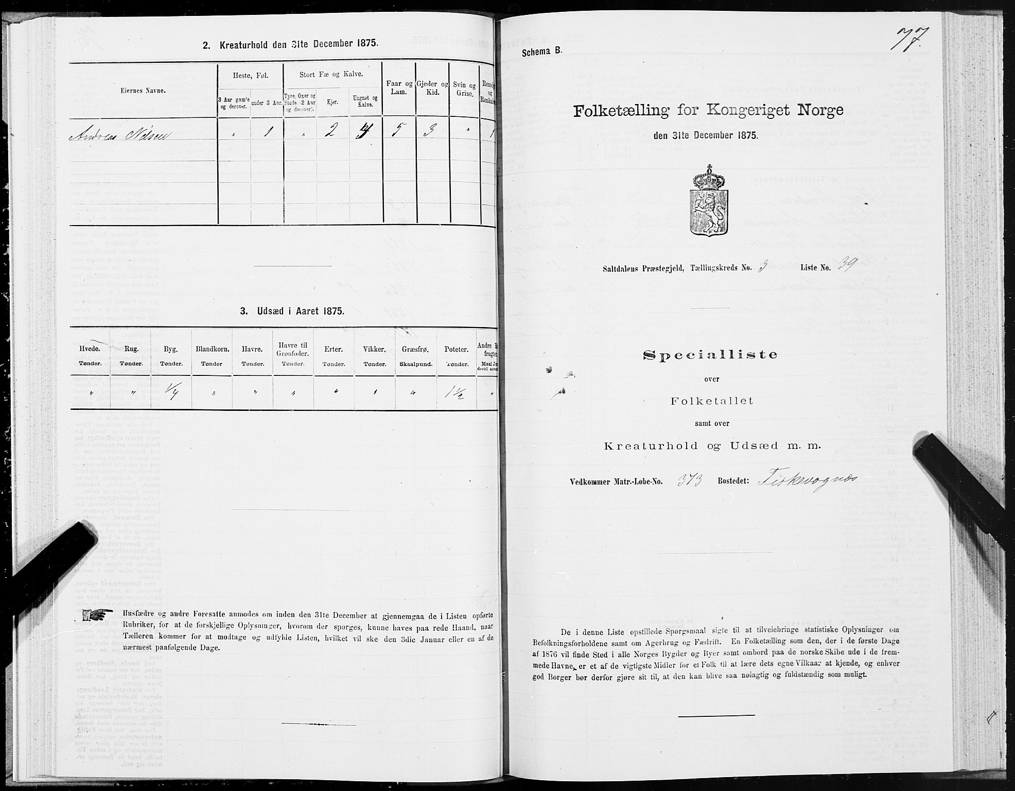 SAT, Folketelling 1875 for 1840P Saltdal prestegjeld, 1875, s. 2077