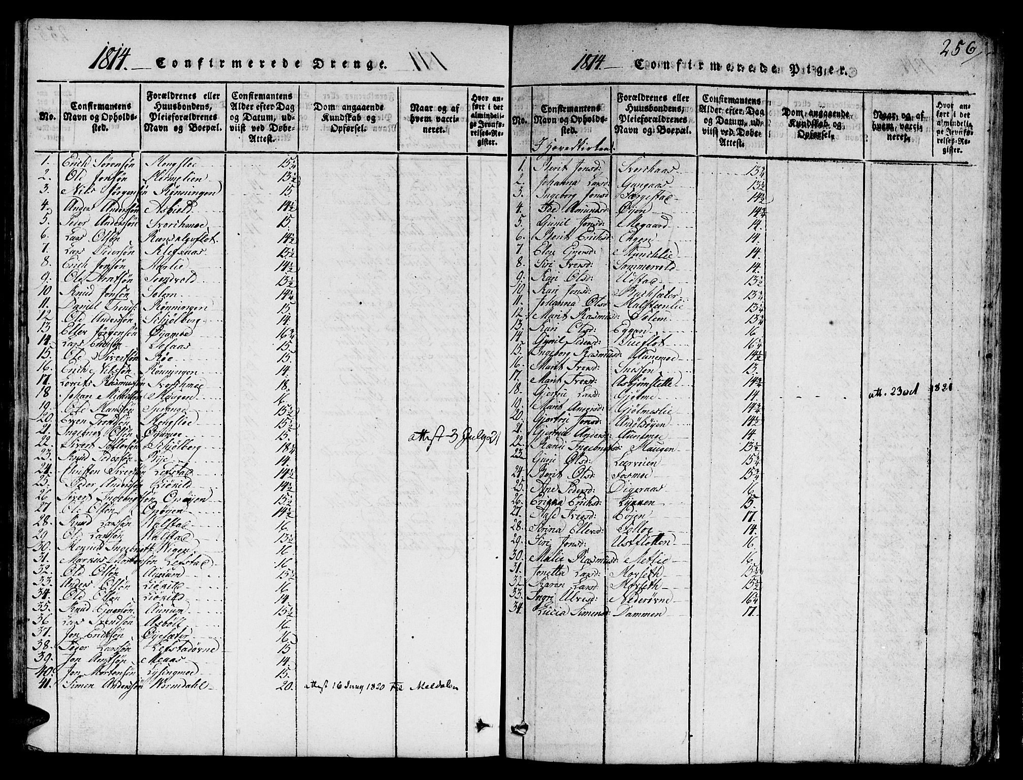 Ministerialprotokoller, klokkerbøker og fødselsregistre - Sør-Trøndelag, SAT/A-1456/668/L0803: Ministerialbok nr. 668A03, 1800-1826, s. 256