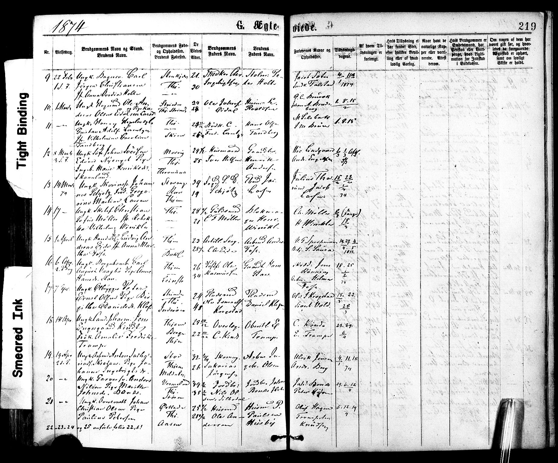 Ministerialprotokoller, klokkerbøker og fødselsregistre - Sør-Trøndelag, SAT/A-1456/602/L0118: Ministerialbok nr. 602A16, 1873-1879, s. 219