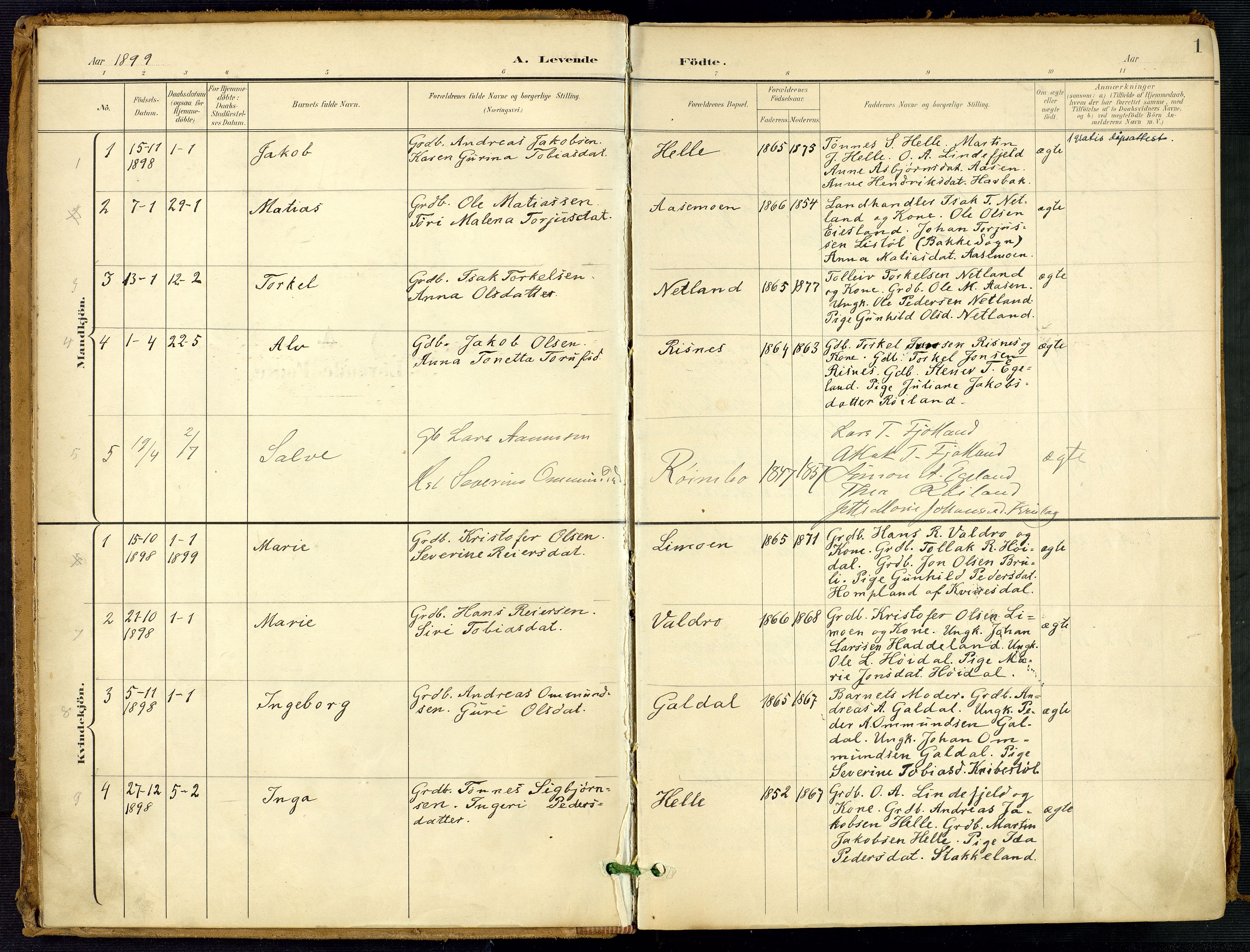 Fjotland sokneprestkontor, AV/SAK-1111-0010/F/Fa/L0003: Ministerialbok nr. A 3, 1899-1917, s. 1