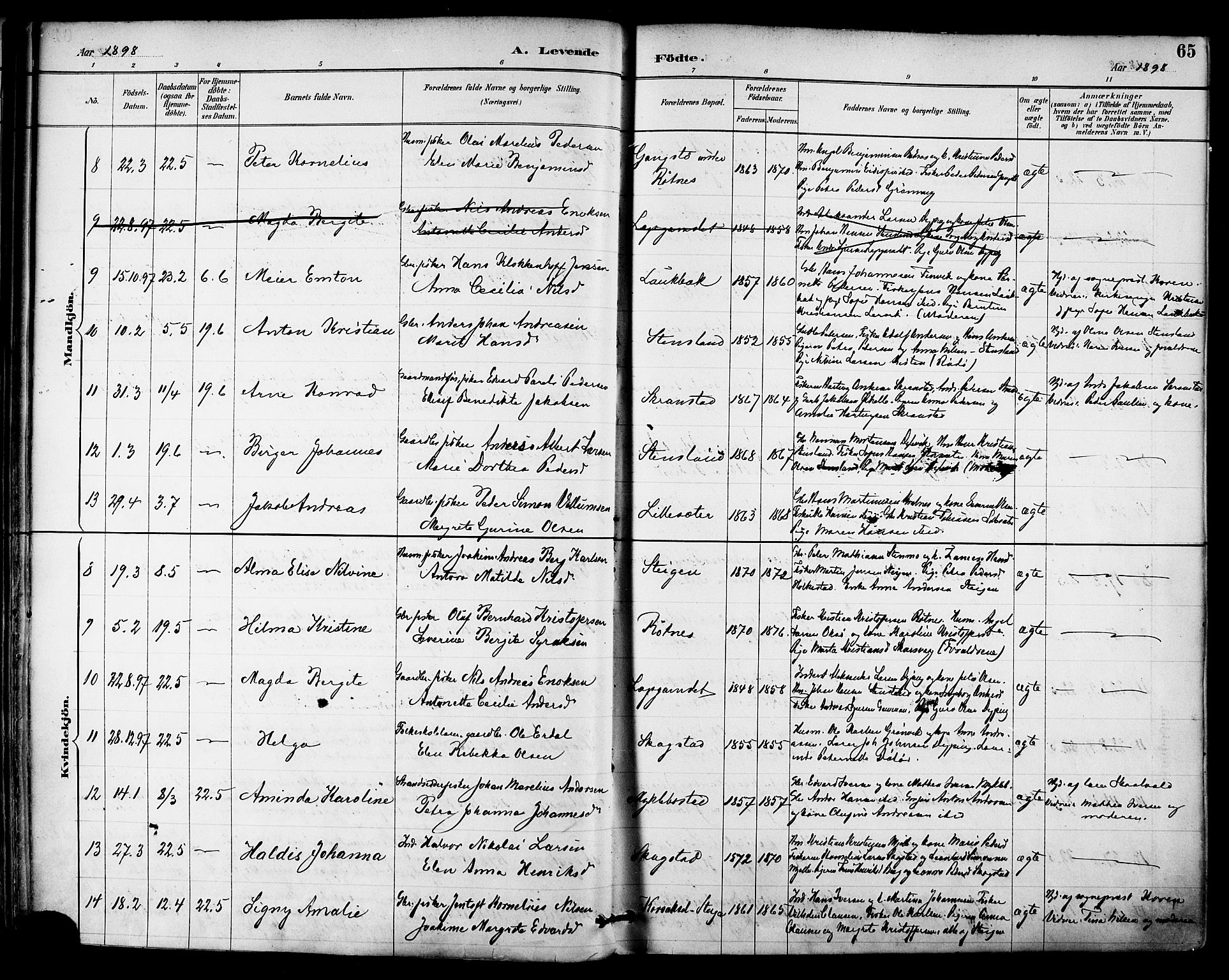 Ministerialprotokoller, klokkerbøker og fødselsregistre - Nordland, AV/SAT-A-1459/855/L0803: Ministerialbok nr. 855A11, 1887-1905, s. 65
