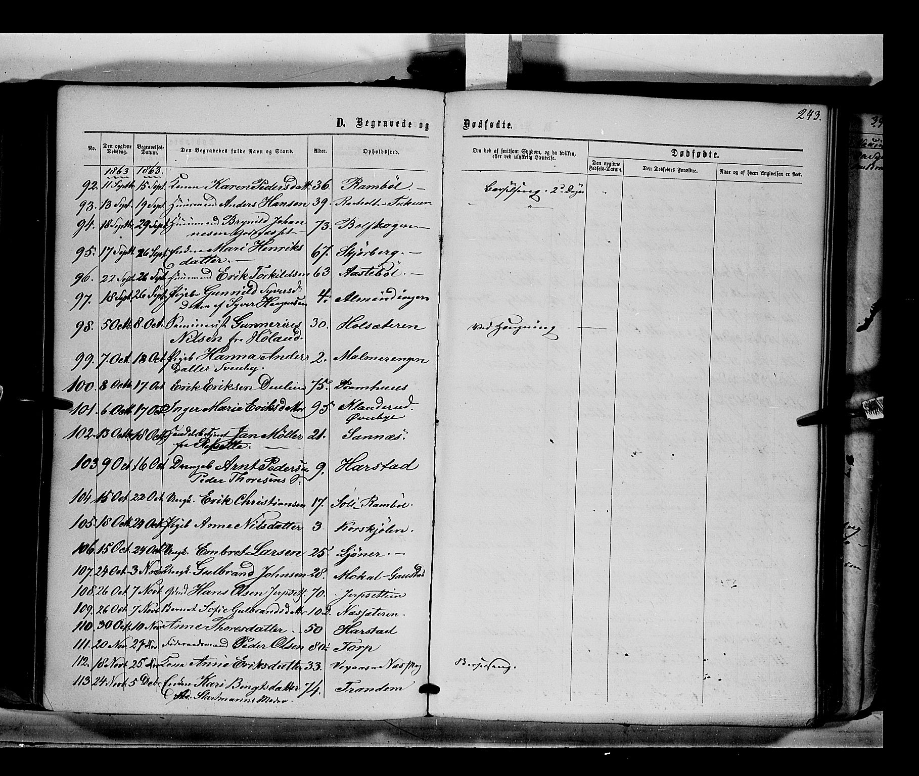 Eidskog prestekontor, AV/SAH-PREST-026/H/Ha/Haa/L0001: Ministerialbok nr. 1, 1860-1867, s. 243