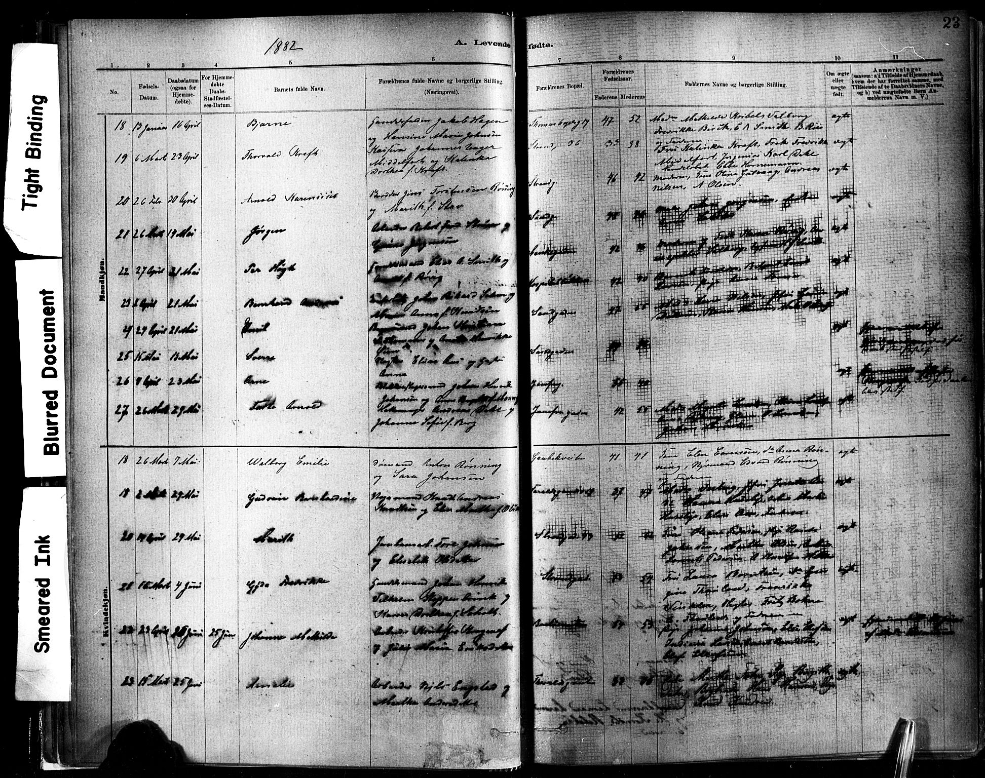 Ministerialprotokoller, klokkerbøker og fødselsregistre - Sør-Trøndelag, SAT/A-1456/602/L0119: Ministerialbok nr. 602A17, 1880-1901, s. 23