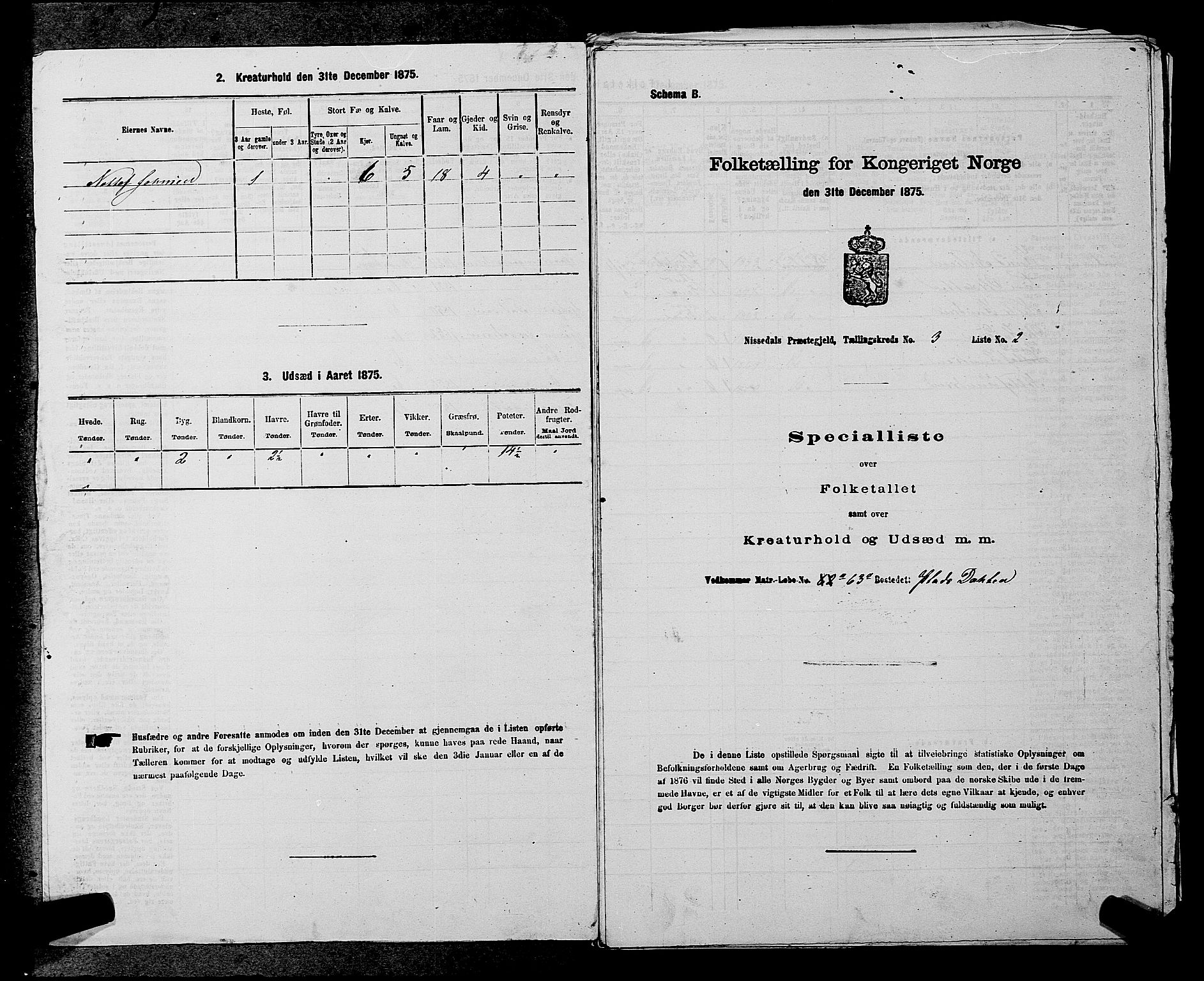 SAKO, Folketelling 1875 for 0830P Nissedal prestegjeld, 1875, s. 234