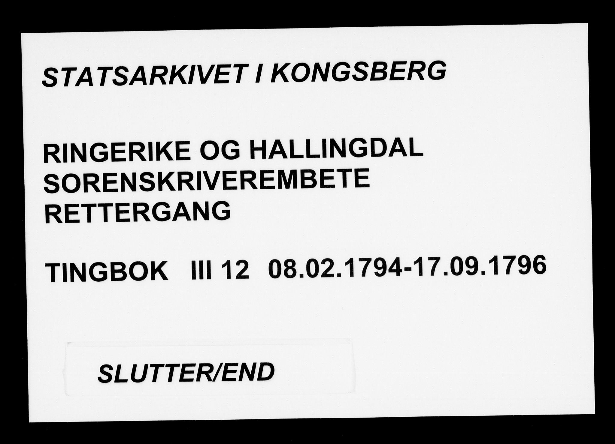 Ringerike og Hallingdal sorenskriveri, AV/SAKO-A-81/F/Fa/Fac/L0012: Tingbok - Ringerike, 1794-1796