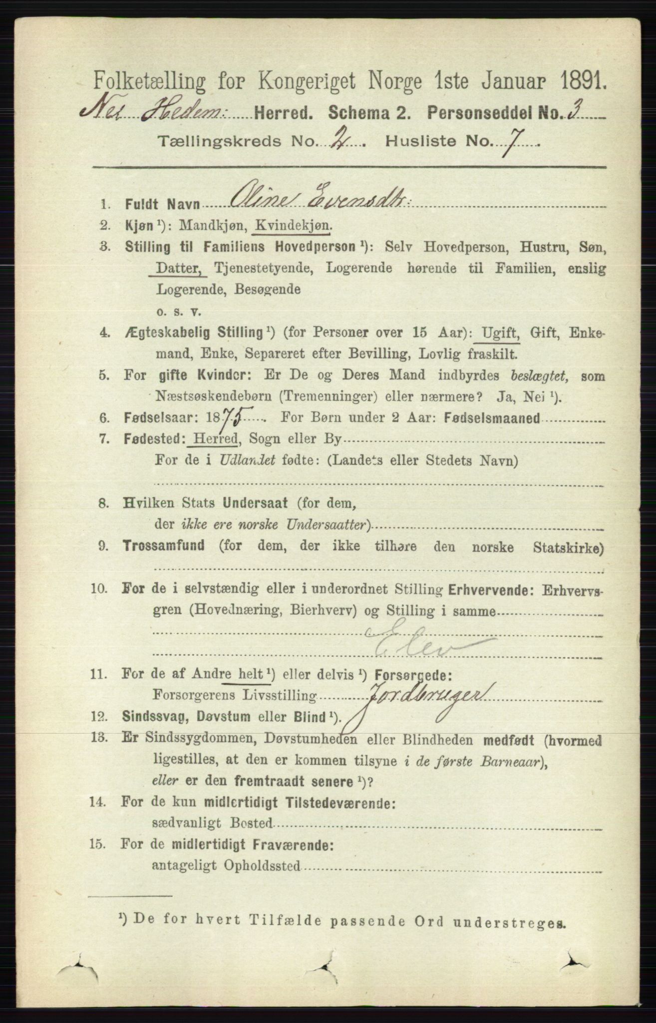 RA, Folketelling 1891 for 0411 Nes herred, 1891, s. 1111