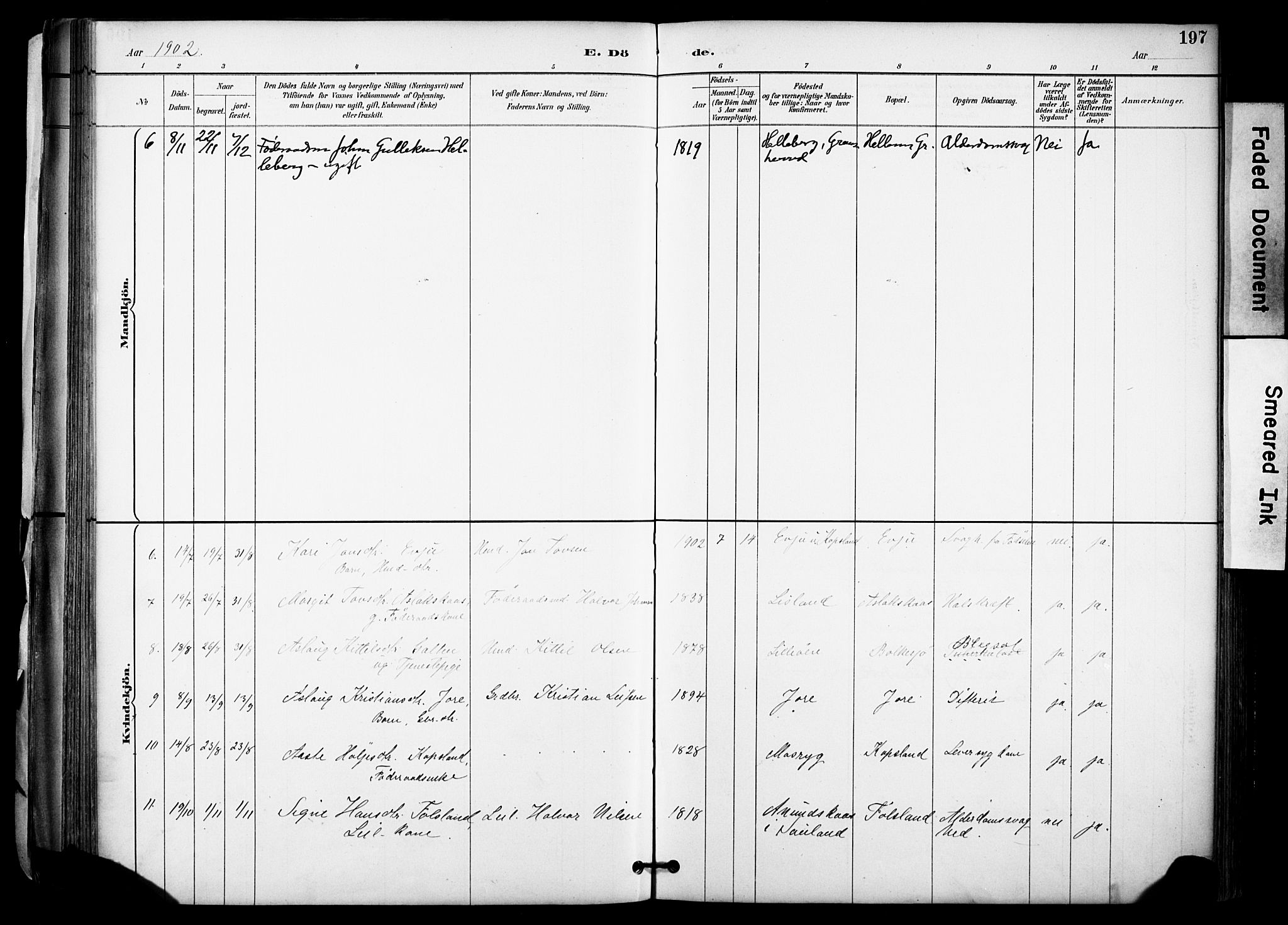 Gransherad kirkebøker, AV/SAKO-A-267/F/Fa/L0005: Ministerialbok nr. I 5, 1887-1916, s. 197