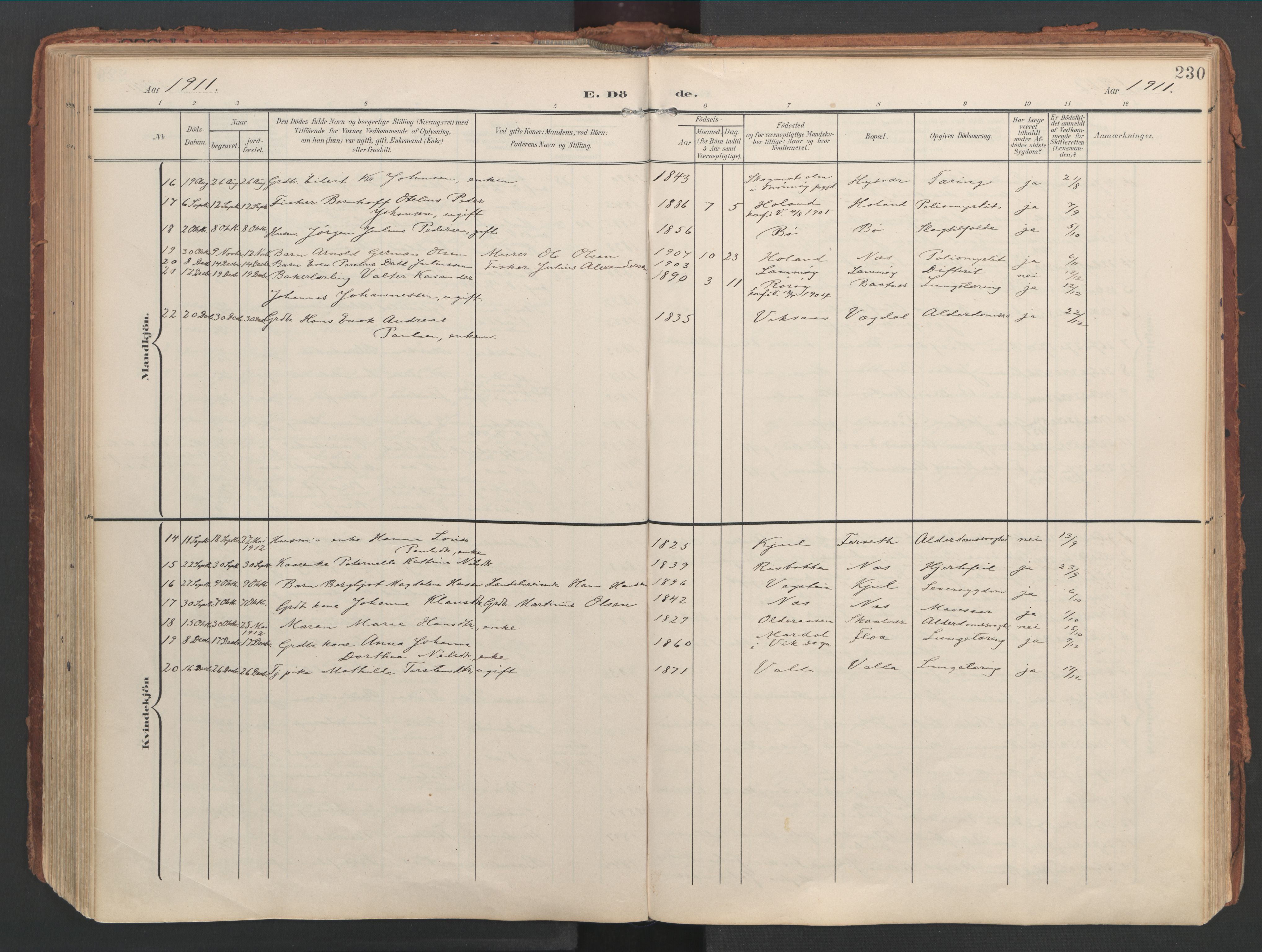 Ministerialprotokoller, klokkerbøker og fødselsregistre - Nordland, AV/SAT-A-1459/816/L0250: Ministerialbok nr. 816A16, 1903-1923, s. 230