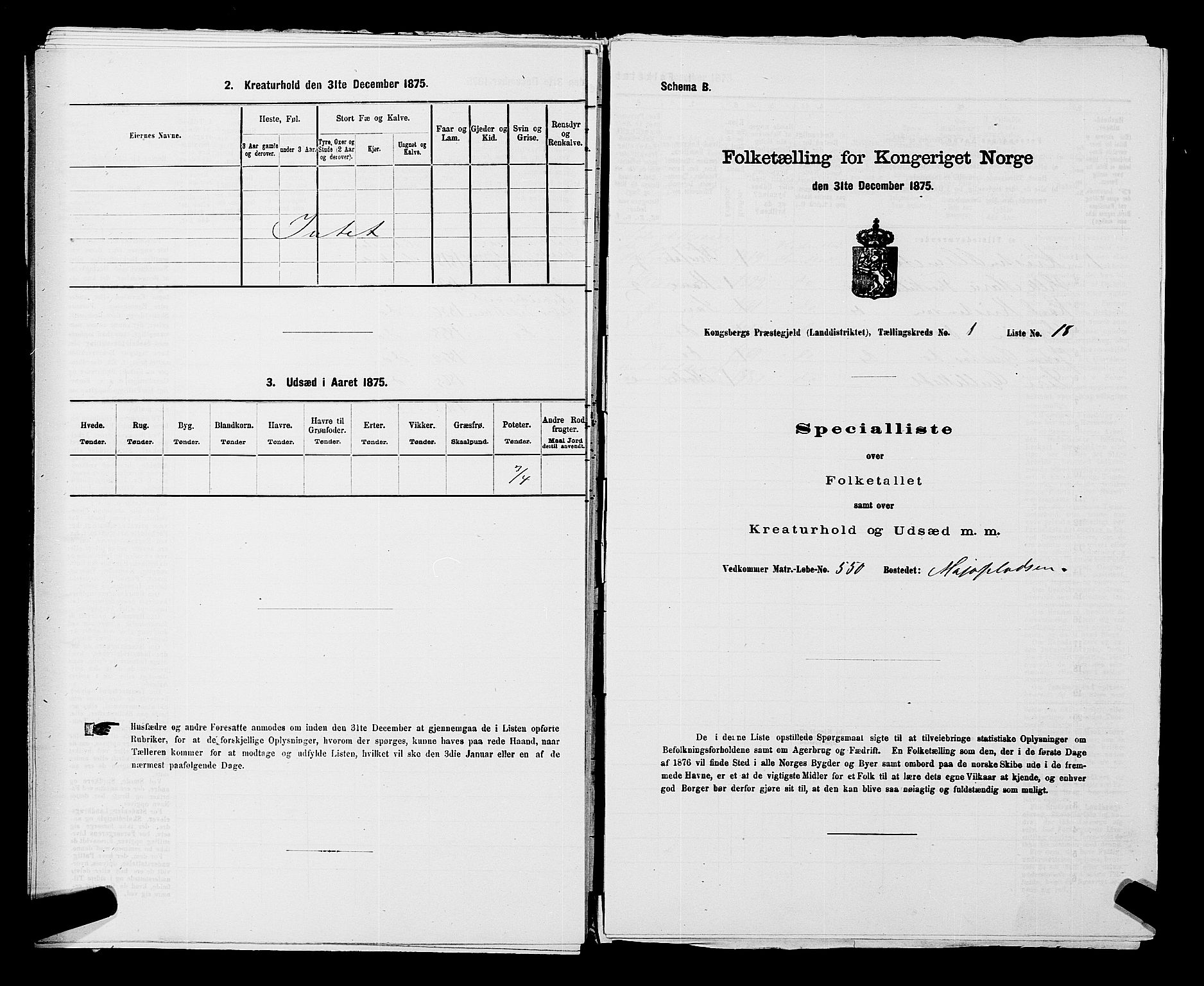 SAKO, Folketelling 1875 for 0692L Kongsberg prestegjeld, Kongsberg landsokn, 1875, s. 49