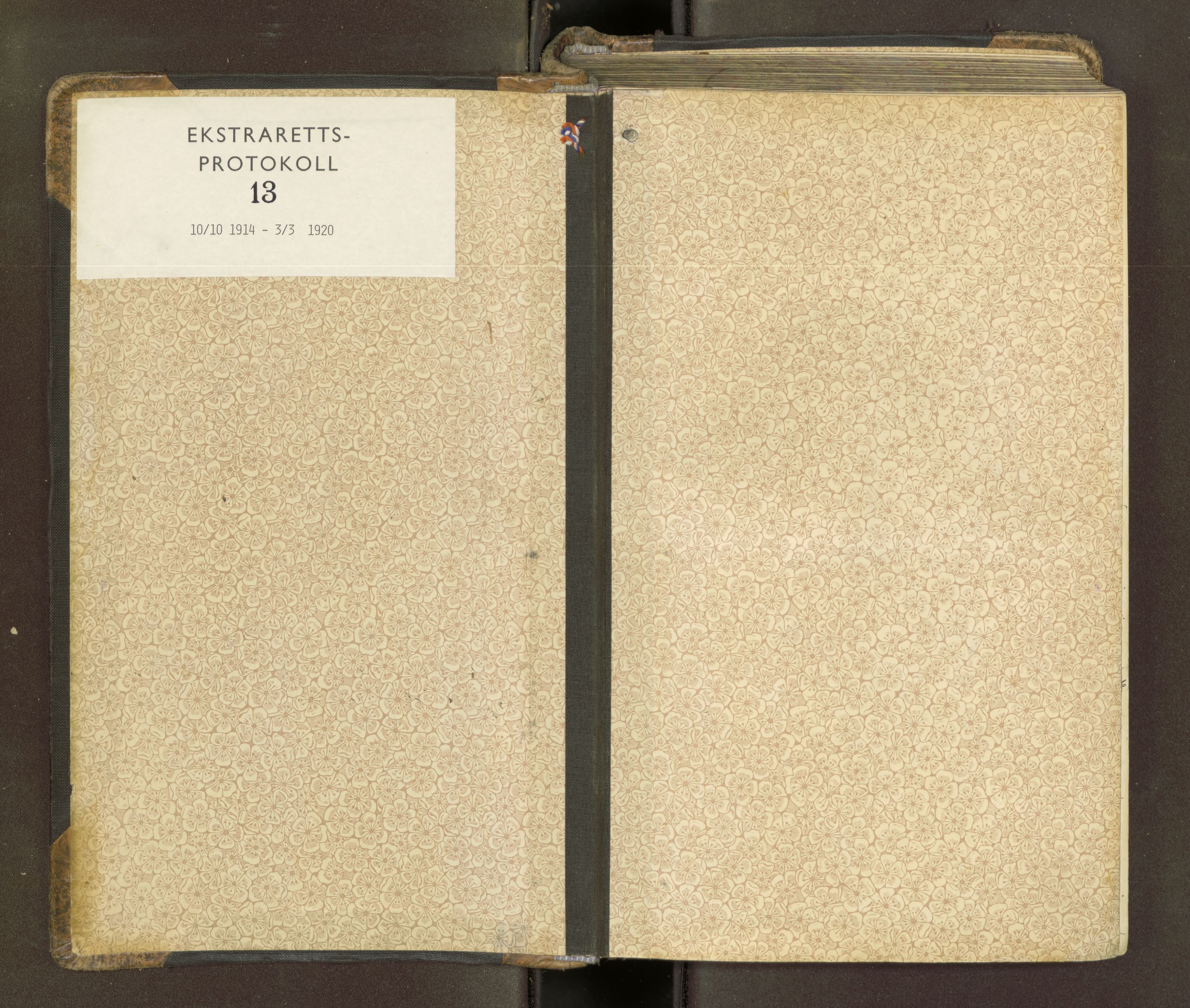 Søre Sunnmøre sorenskriveri, SAT/A-4122/1/1/1B/L0013: Ekstrarettsprotokollar, 1914-1920