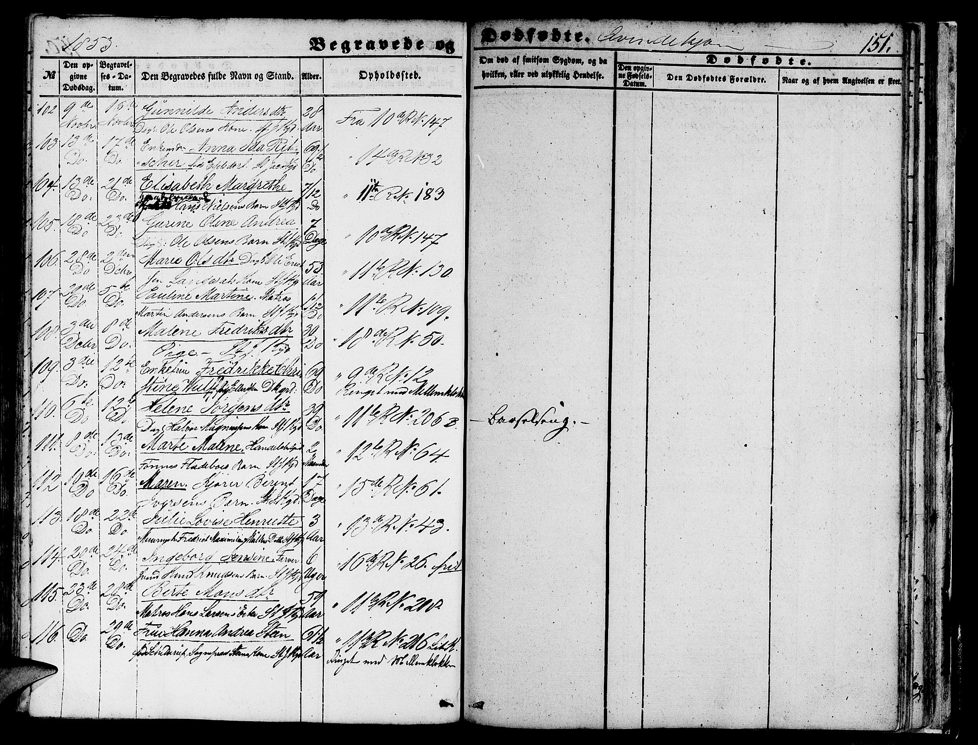 Domkirken sokneprestembete, AV/SAB-A-74801/H/Hab/L0038: Klokkerbok nr. E 2, 1847-1859, s. 151