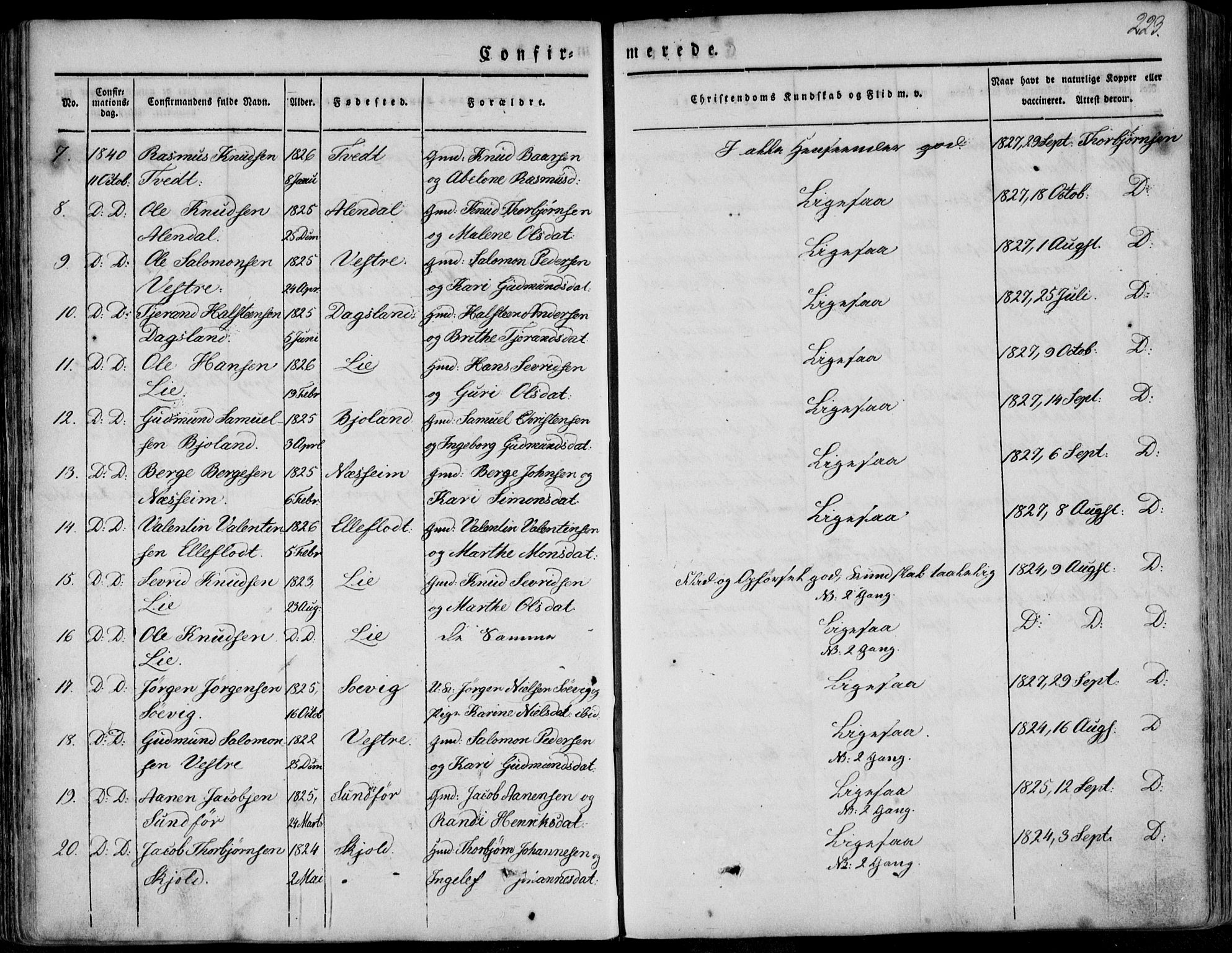 Skjold sokneprestkontor, AV/SAST-A-101847/H/Ha/Haa/L0006: Ministerialbok nr. A 6.1, 1835-1858, s. 223