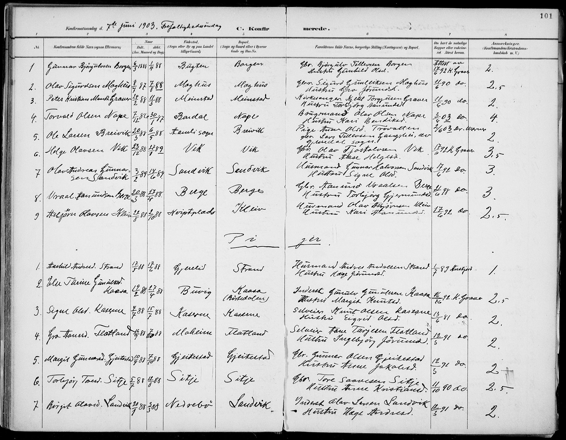 Fyresdal kirkebøker, AV/SAKO-A-263/F/Fa/L0007: Ministerialbok nr. I 7, 1887-1914, s. 101