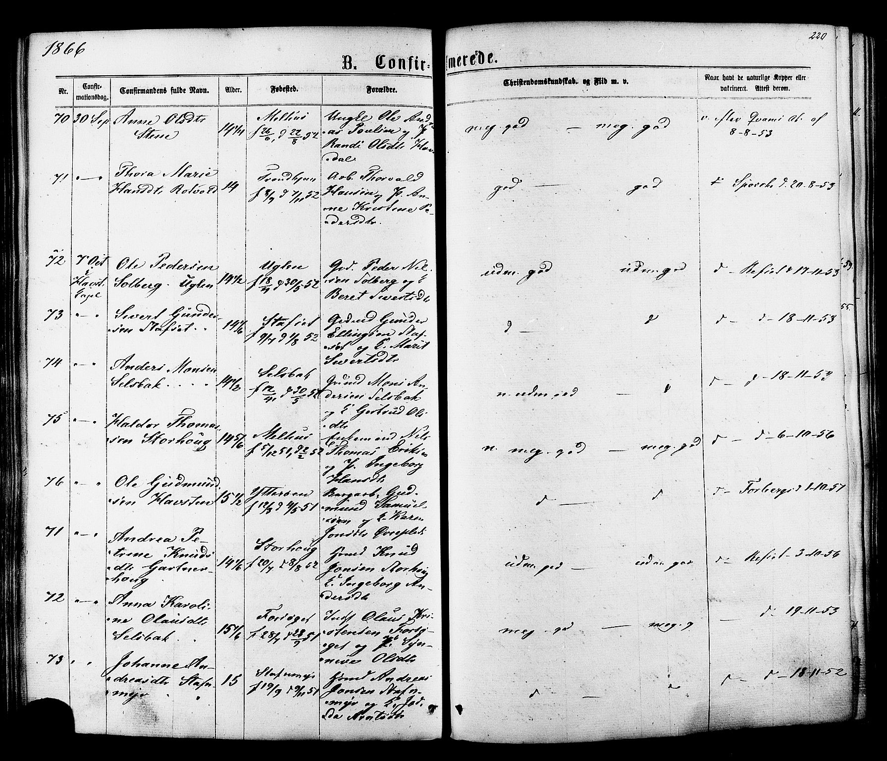 Ministerialprotokoller, klokkerbøker og fødselsregistre - Sør-Trøndelag, SAT/A-1456/606/L0293: Ministerialbok nr. 606A08, 1866-1877, s. 220