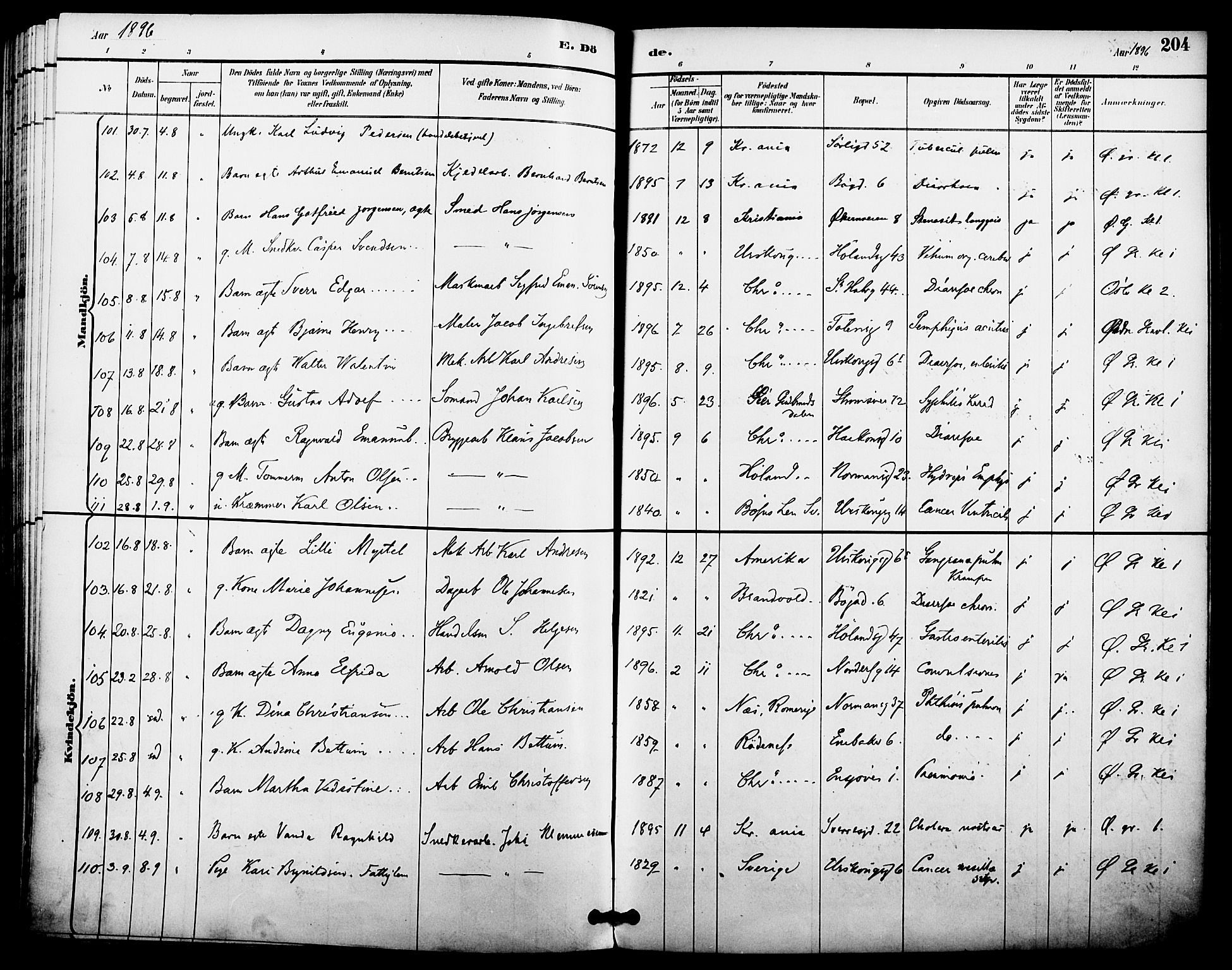 Kampen prestekontor Kirkebøker, AV/SAO-A-10853/F/Fa/L0008: Ministerialbok nr. I 8, 1892-1902, s. 204