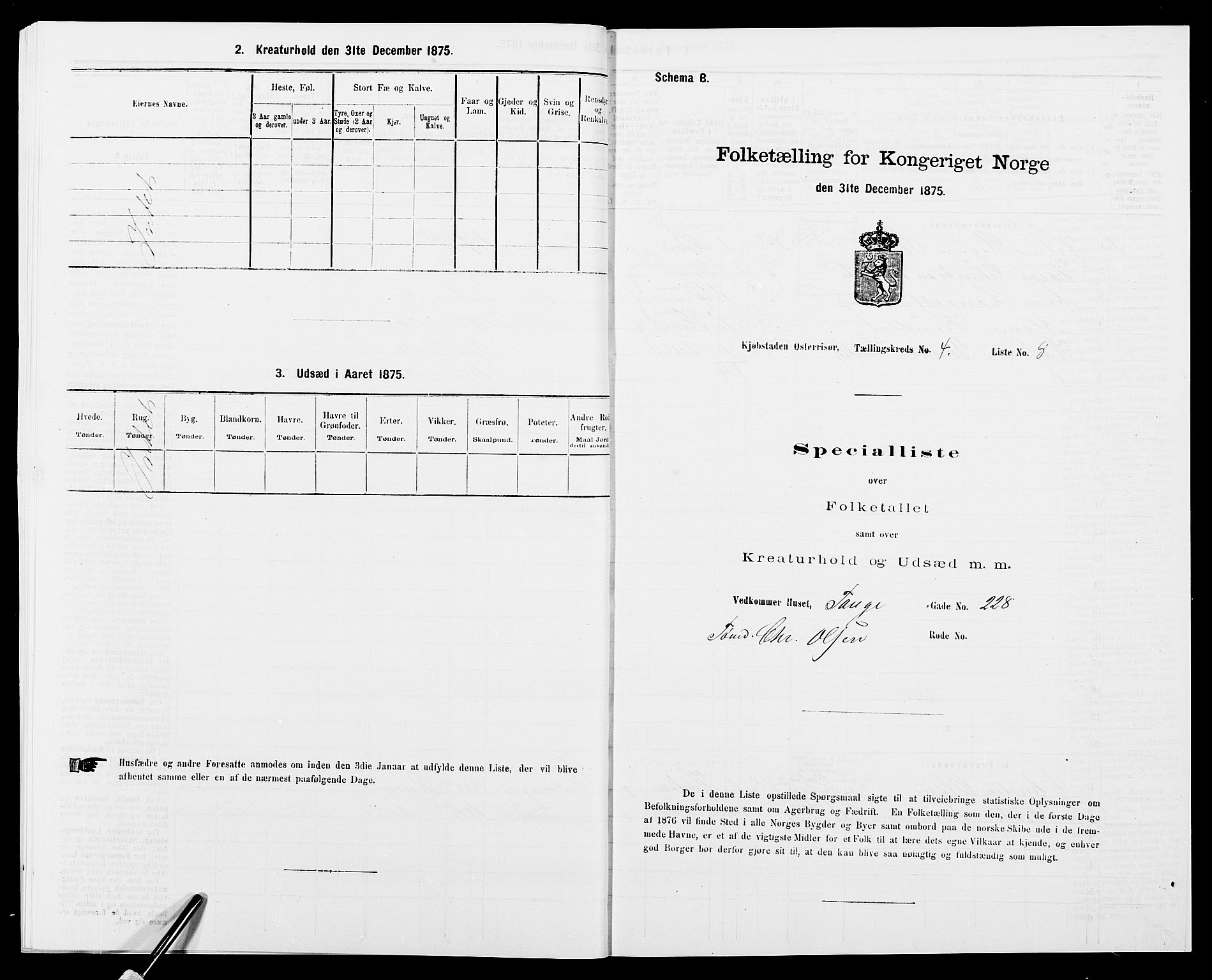 SAK, Folketelling 1875 for 0901B Risør prestegjeld, Risør kjøpstad, 1875, s. 529