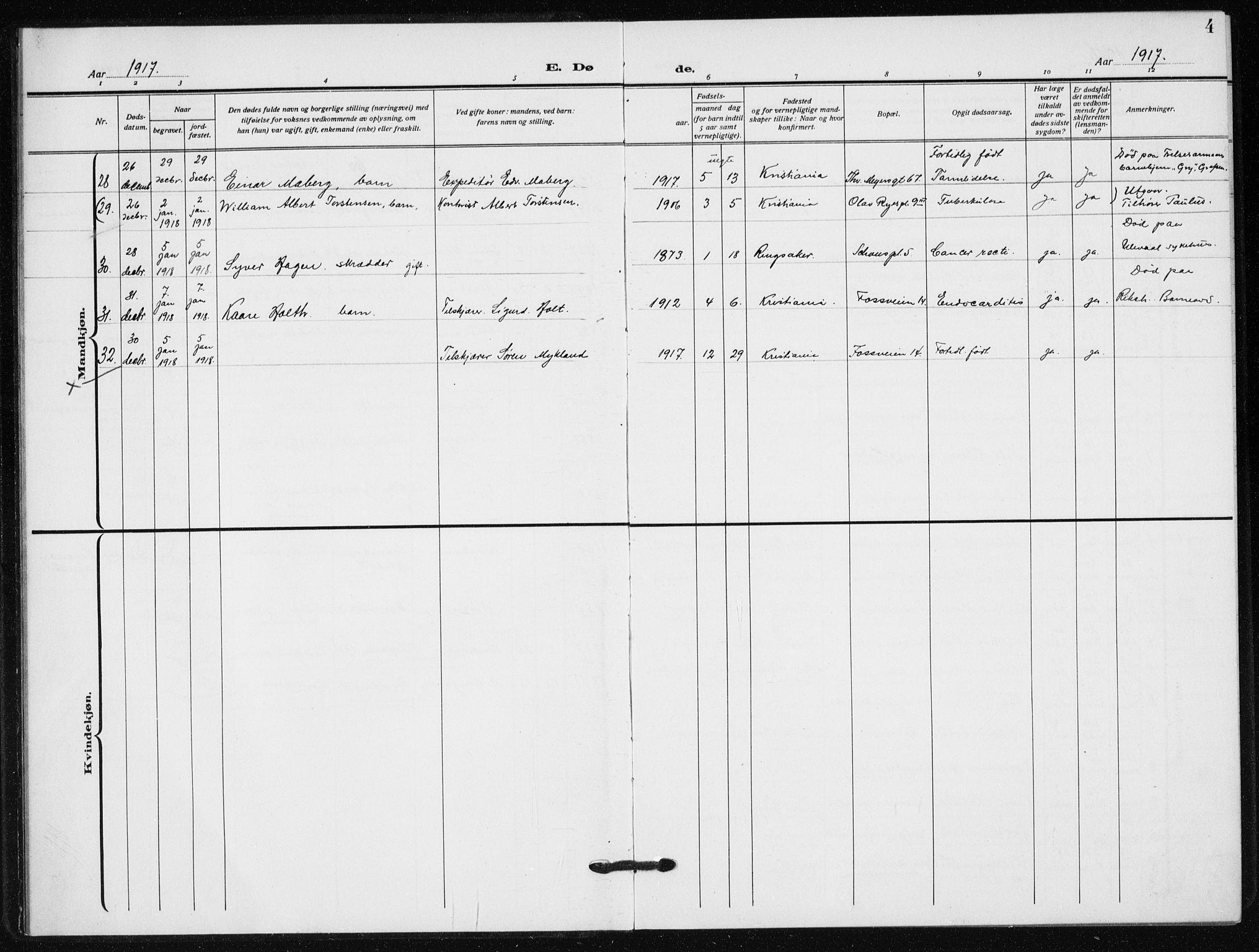 Hauge prestekontor Kirkebøker, AV/SAO-A-10849/F/Fa/L0005: Ministerialbok nr. 5, 1917-1938, s. 4