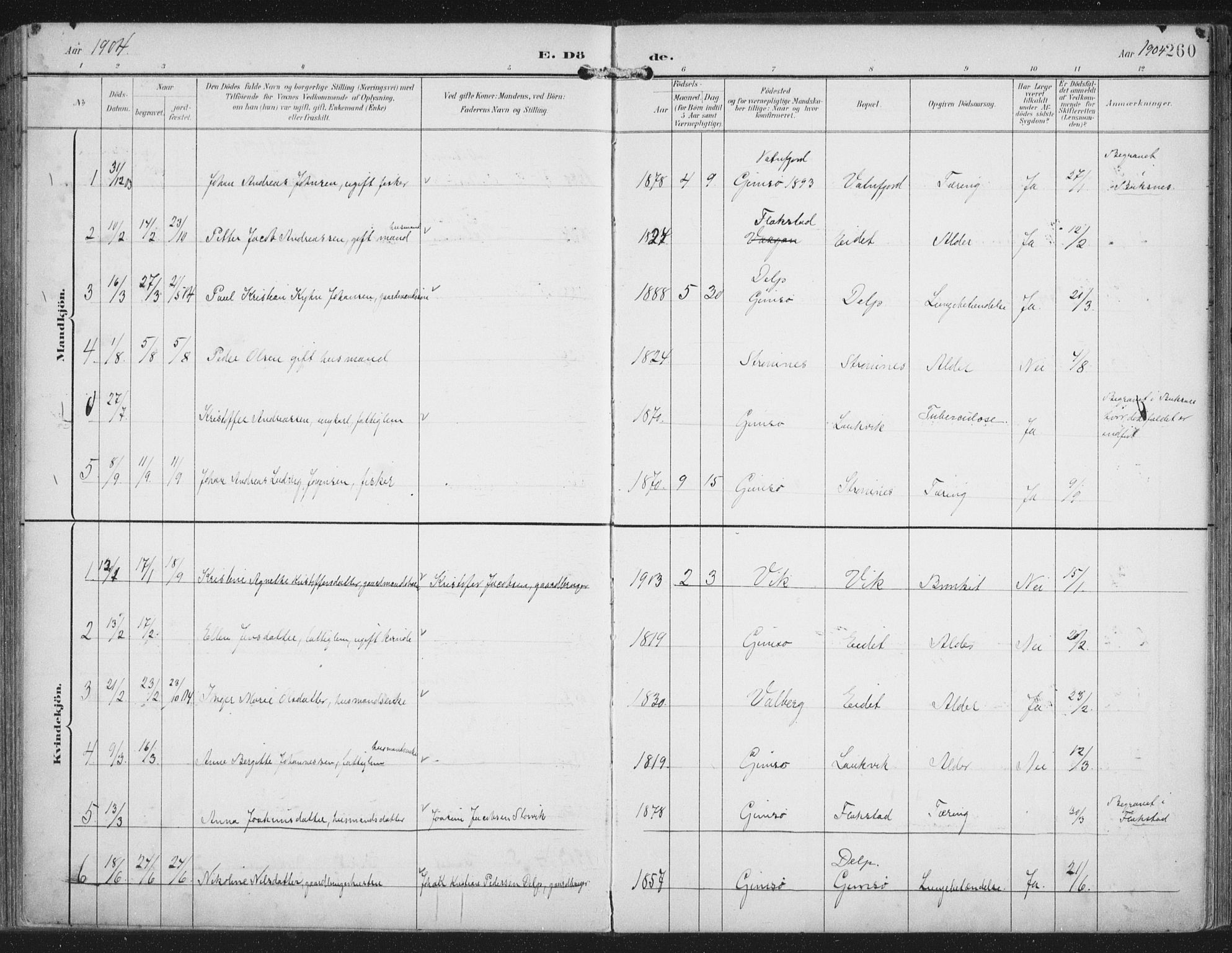 Ministerialprotokoller, klokkerbøker og fødselsregistre - Nordland, SAT/A-1459/876/L1098: Ministerialbok nr. 876A04, 1896-1915, s. 260