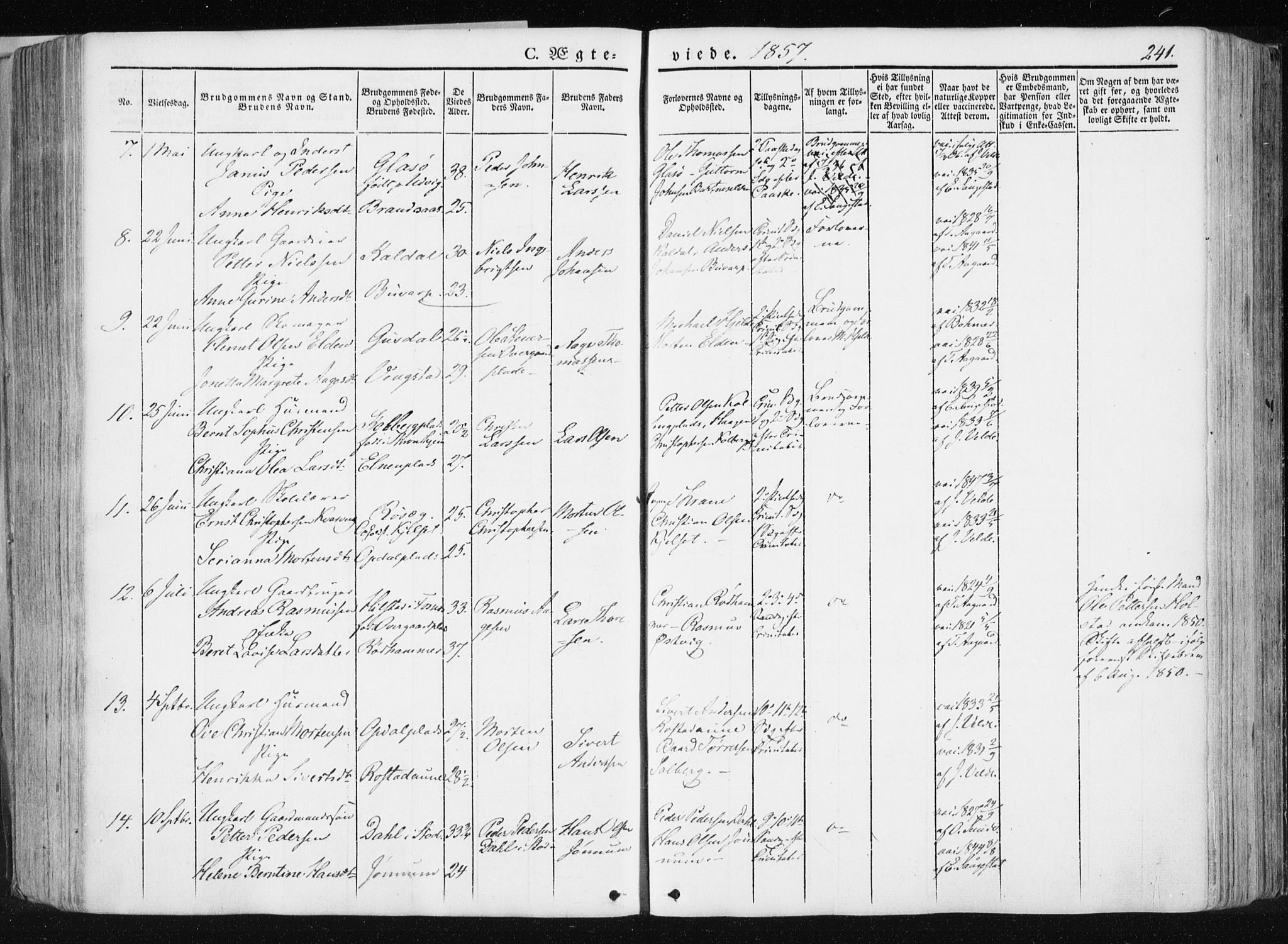 Ministerialprotokoller, klokkerbøker og fødselsregistre - Nord-Trøndelag, SAT/A-1458/741/L0393: Ministerialbok nr. 741A07, 1849-1863, s. 241