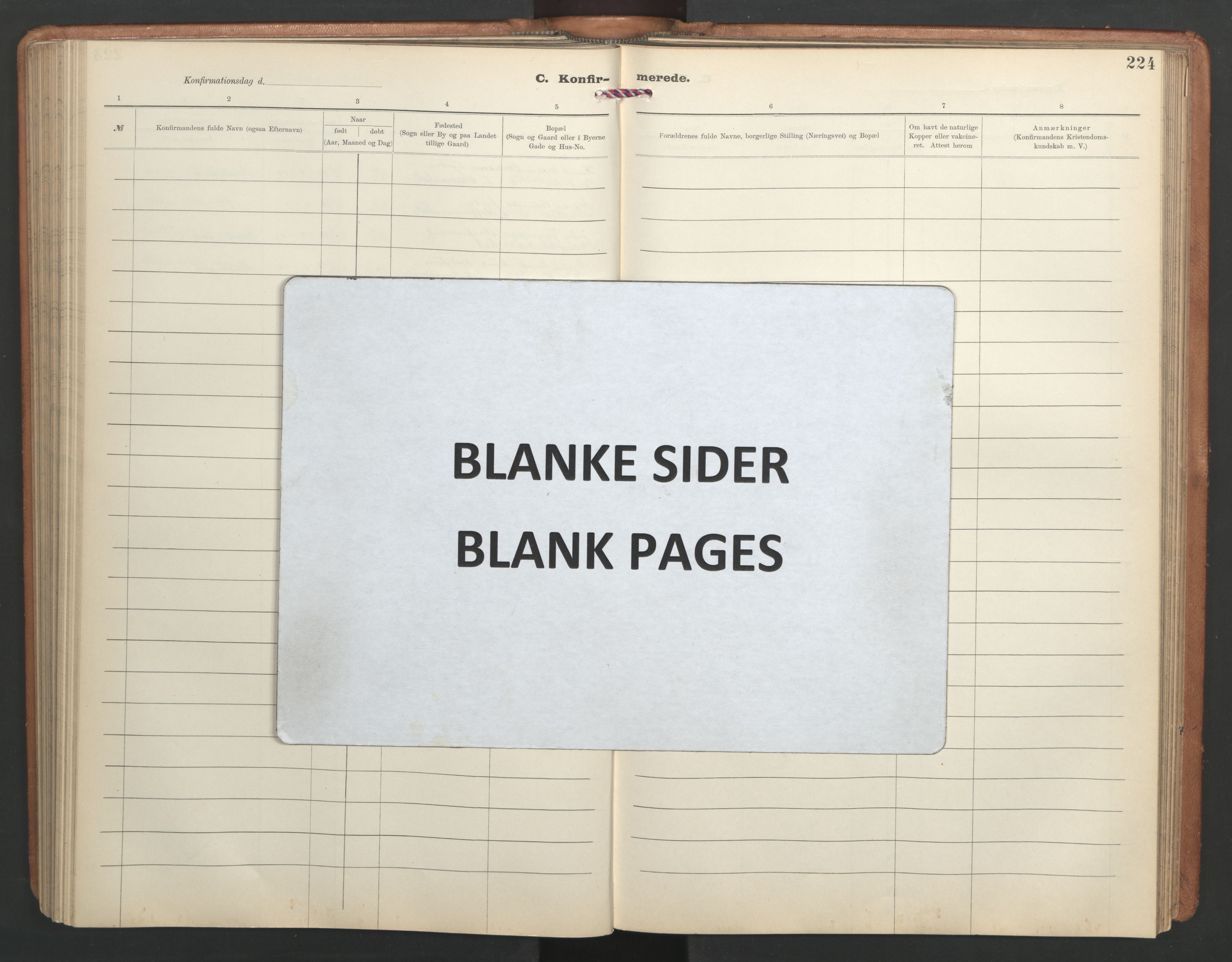 Ministerialprotokoller, klokkerbøker og fødselsregistre - Sør-Trøndelag, SAT/A-1456/603/L0173: Klokkerbok nr. 603C01, 1907-1962, s. 224