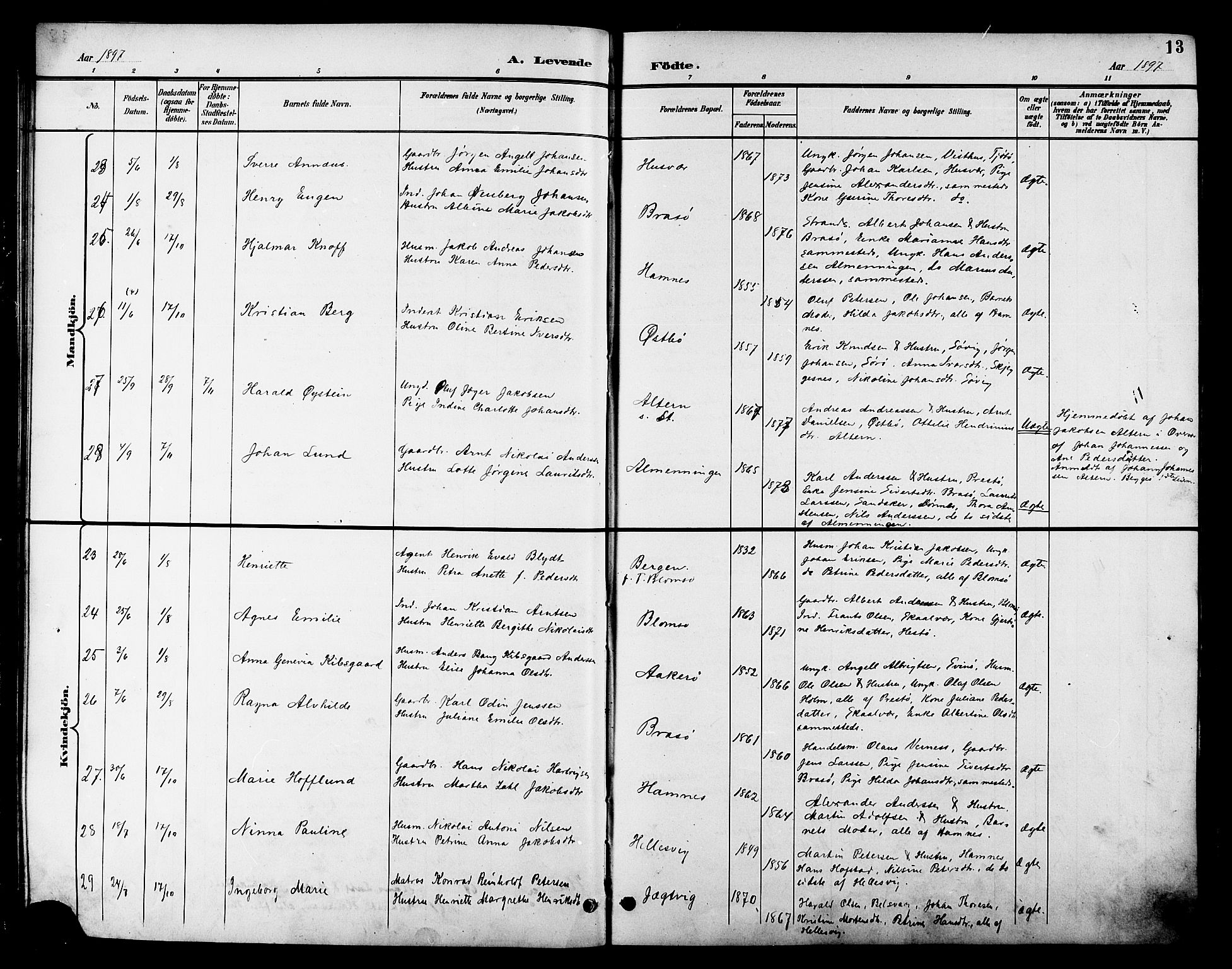 Ministerialprotokoller, klokkerbøker og fødselsregistre - Nordland, AV/SAT-A-1459/830/L0463: Klokkerbok nr. 830C05, 1895-1906, s. 13