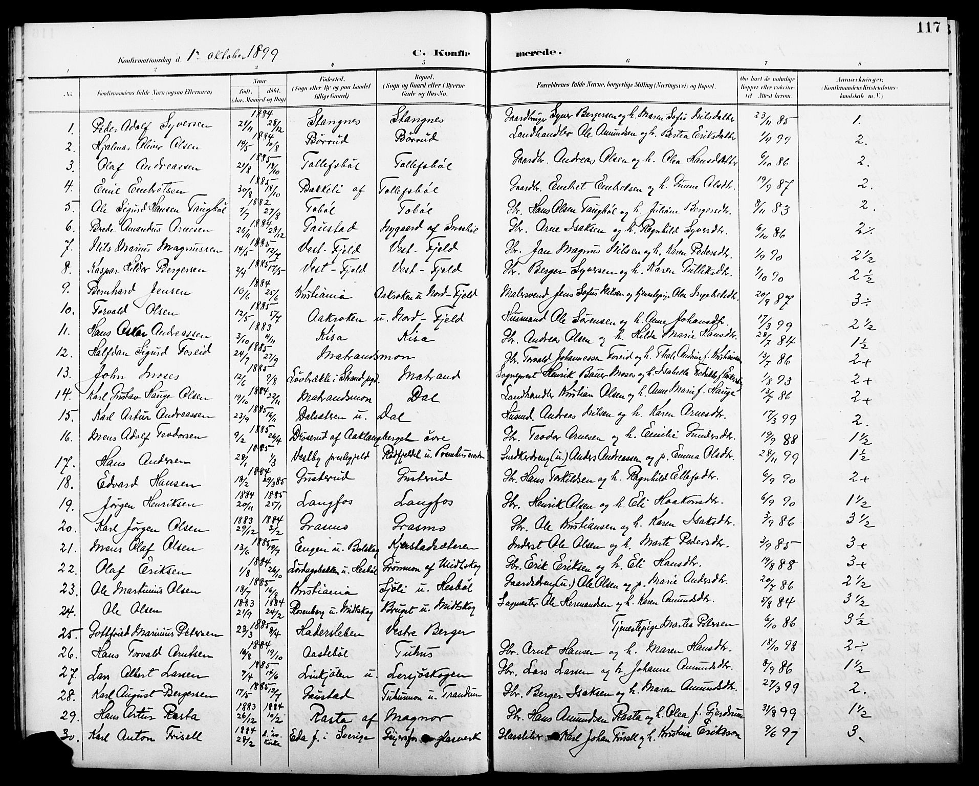 Eidskog prestekontor, AV/SAH-PREST-026/H/Ha/Hab/L0001: Klokkerbok nr. 1, 1895-1917, s. 117