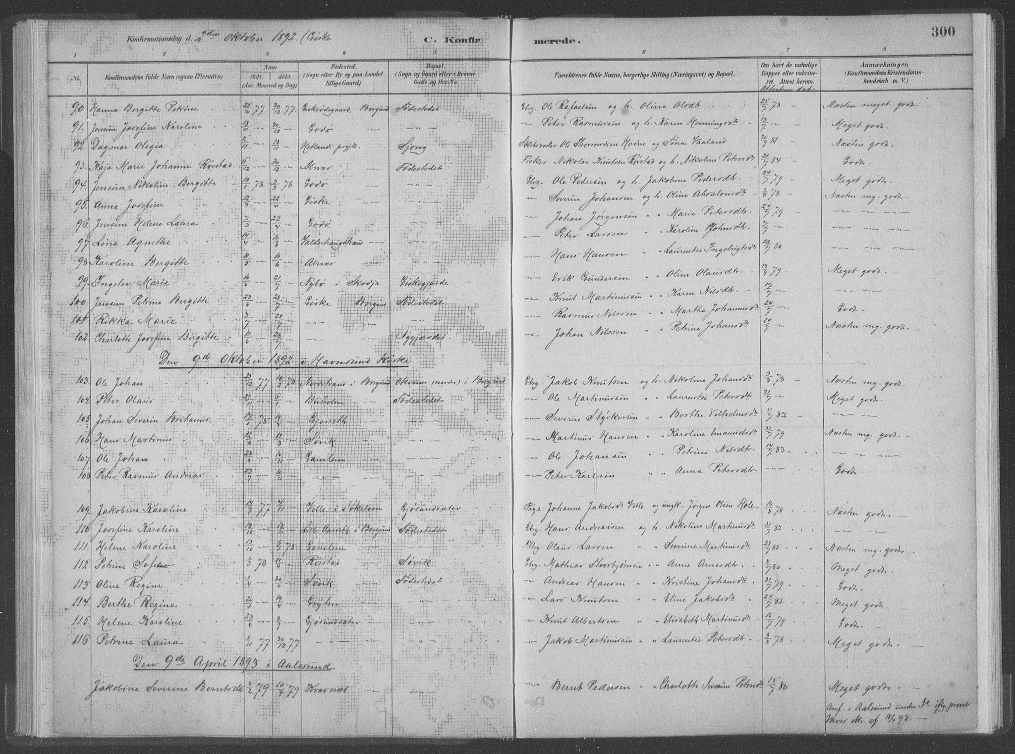 Ministerialprotokoller, klokkerbøker og fødselsregistre - Møre og Romsdal, AV/SAT-A-1454/528/L0402: Ministerialbok nr. 528A12II, 1880-1903, s. 300