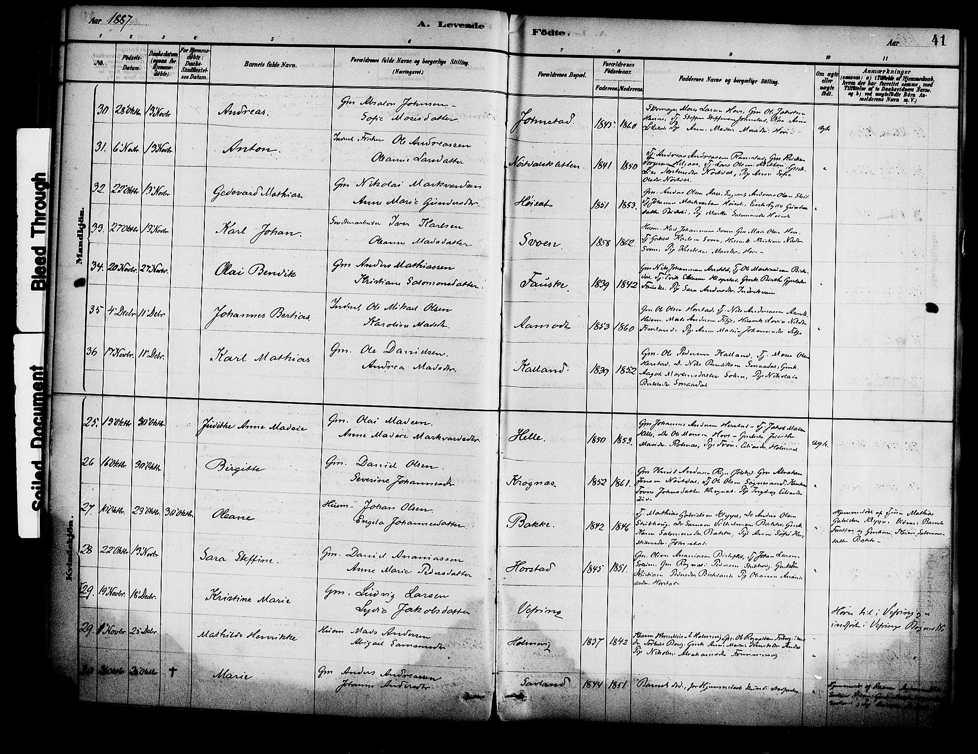 Førde sokneprestembete, AV/SAB-A-79901/H/Haa/Haad/L0001: Ministerialbok nr. D 1, 1881-1898, s. 41
