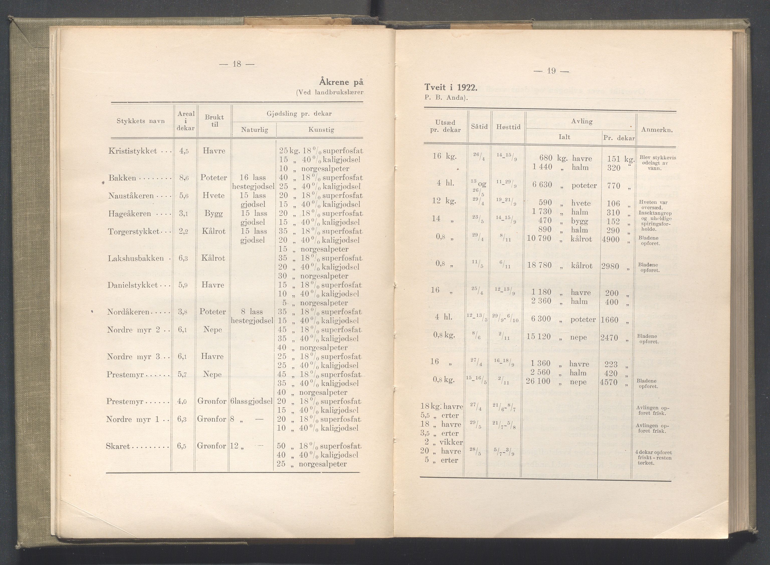 Rogaland fylkeskommune - Fylkesrådmannen , IKAR/A-900/A/Aa/Aaa/L0043: Møtebok , 1924, s. 18-19