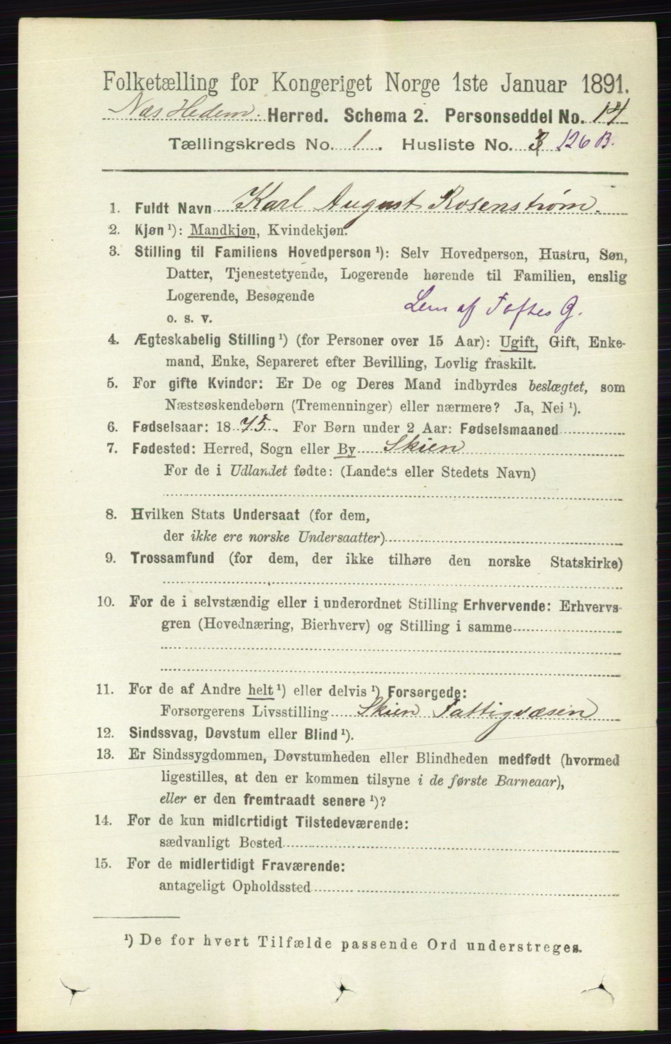 RA, Folketelling 1891 for 0411 Nes herred, 1891, s. 921