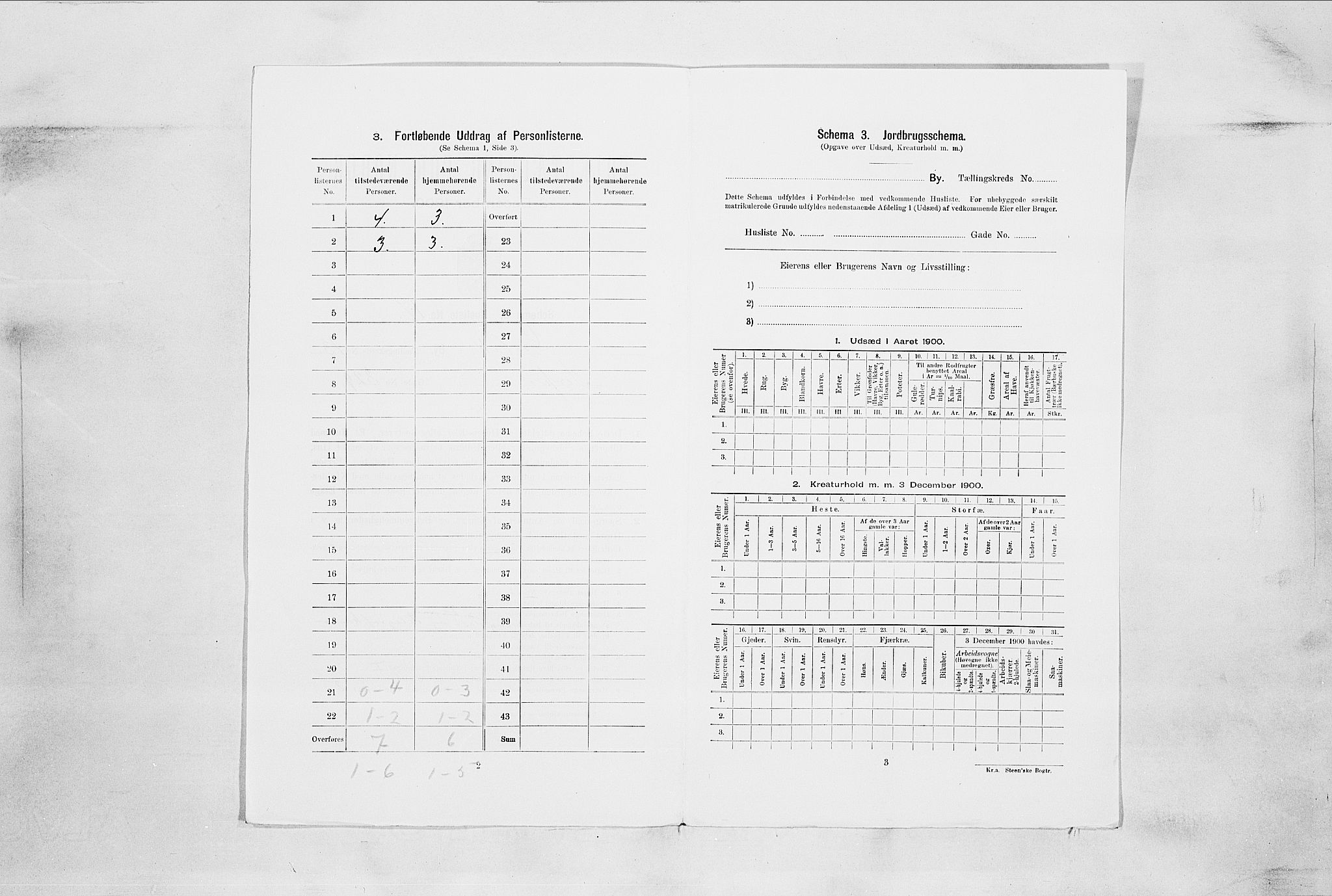 SAO, Folketelling 1900 for 0203 Drøbak kjøpstad, 1900