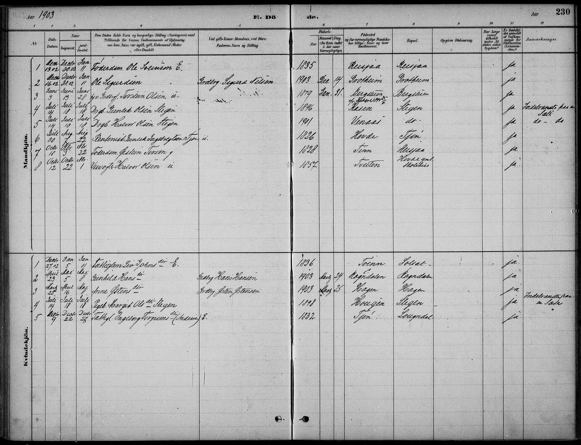 Hjartdal kirkebøker, AV/SAKO-A-270/F/Fc/L0002: Ministerialbok nr. III 2, 1880-1936, s. 230
