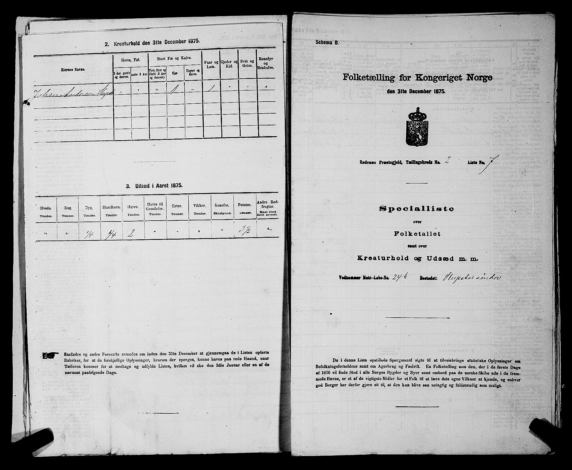 RA, Folketelling 1875 for 0120P Rødenes prestegjeld, 1875, s. 200