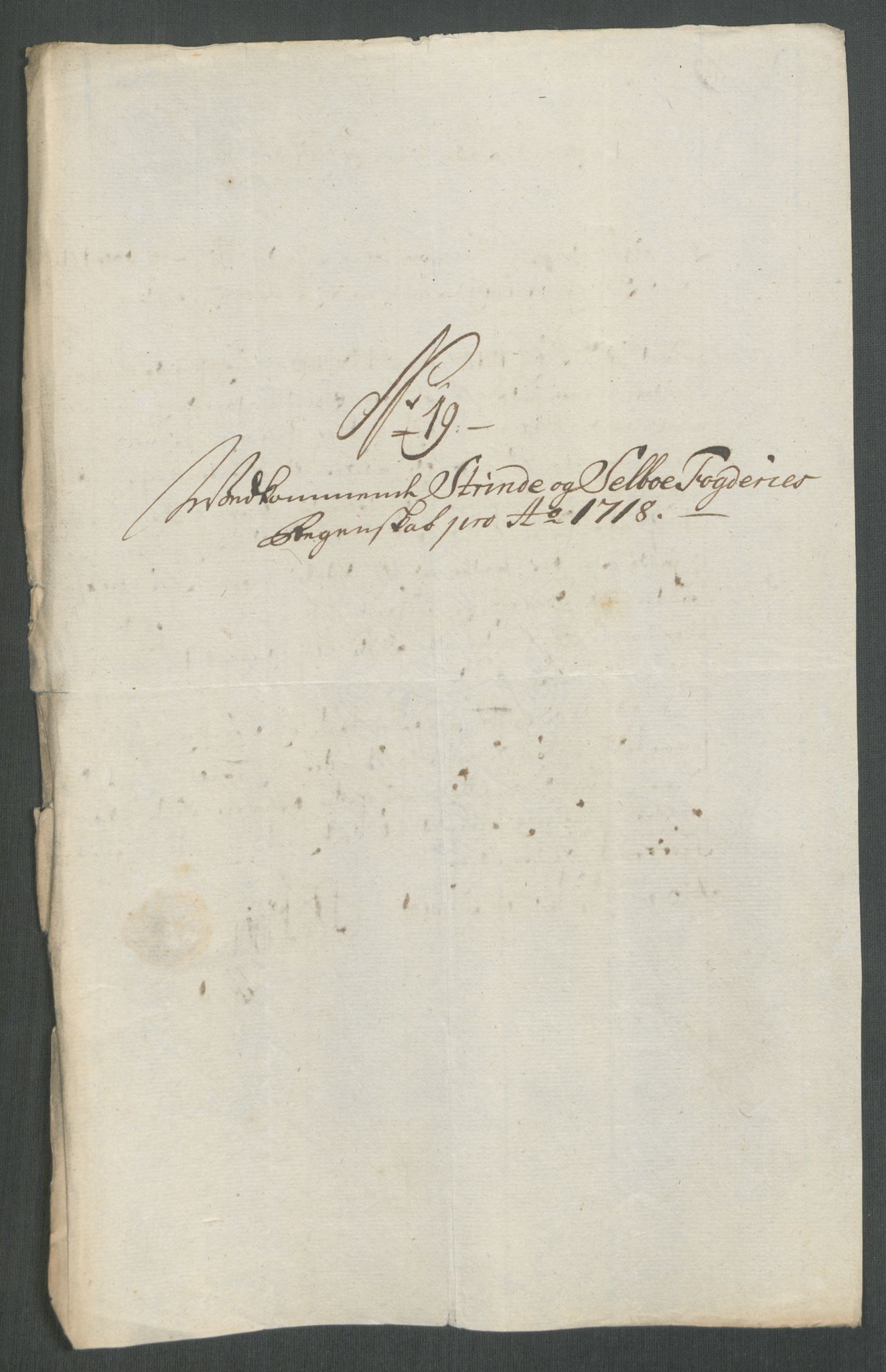 Rentekammeret inntil 1814, Reviderte regnskaper, Fogderegnskap, RA/EA-4092/R61/L4116: Fogderegnskap Strinda og Selbu, 1717-1718, s. 452