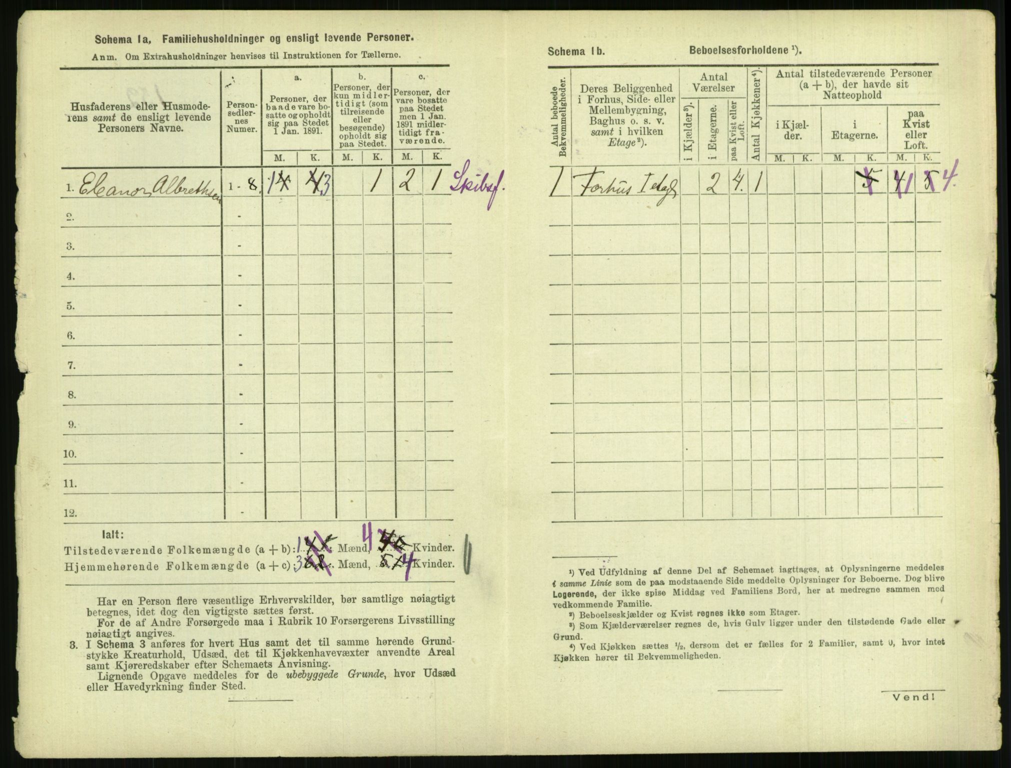 RA, Folketelling 1891 for 0902 Tvedestrand ladested, 1891, s. 21