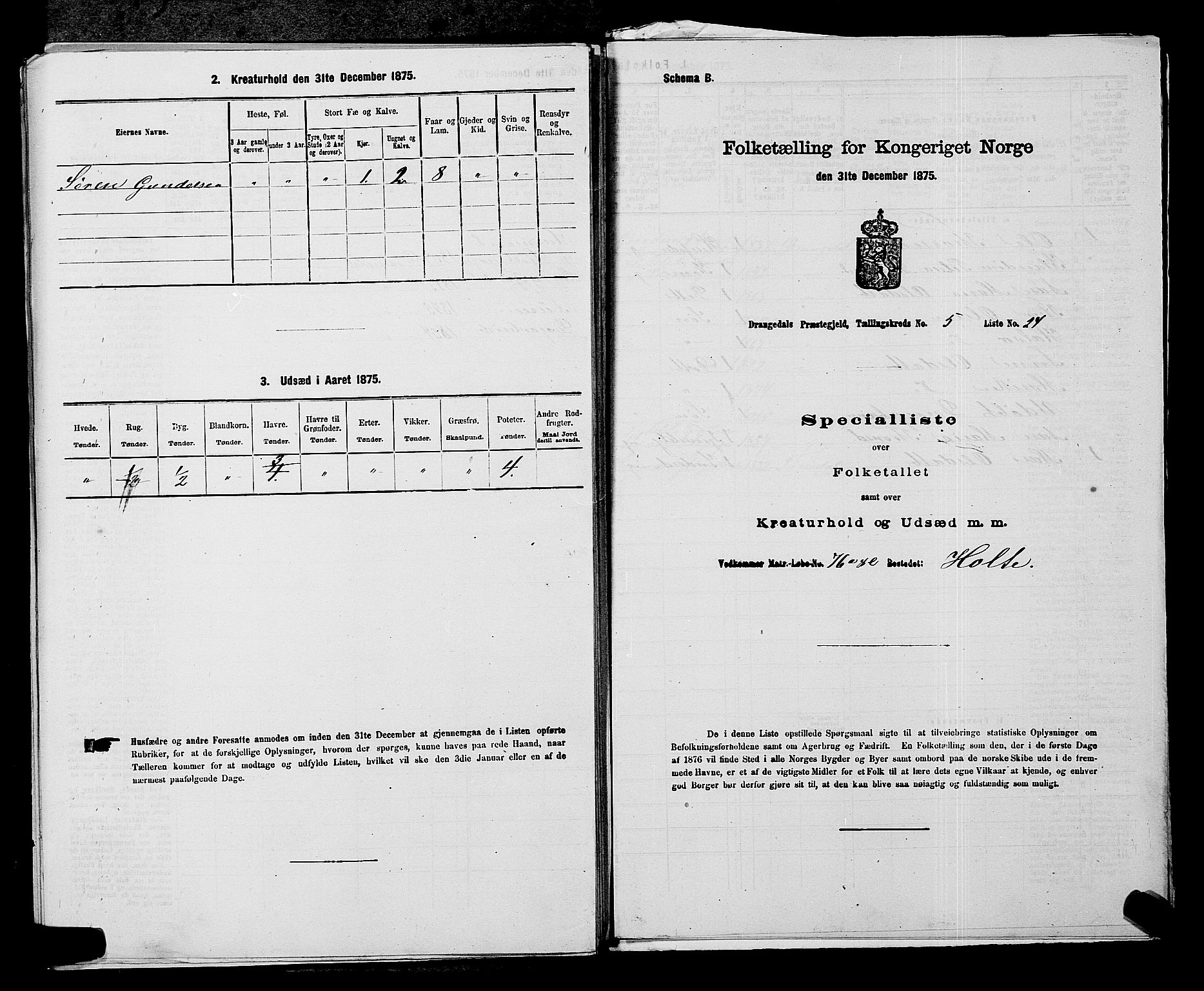SAKO, Folketelling 1875 for 0817P Drangedal prestegjeld, 1875, s. 531