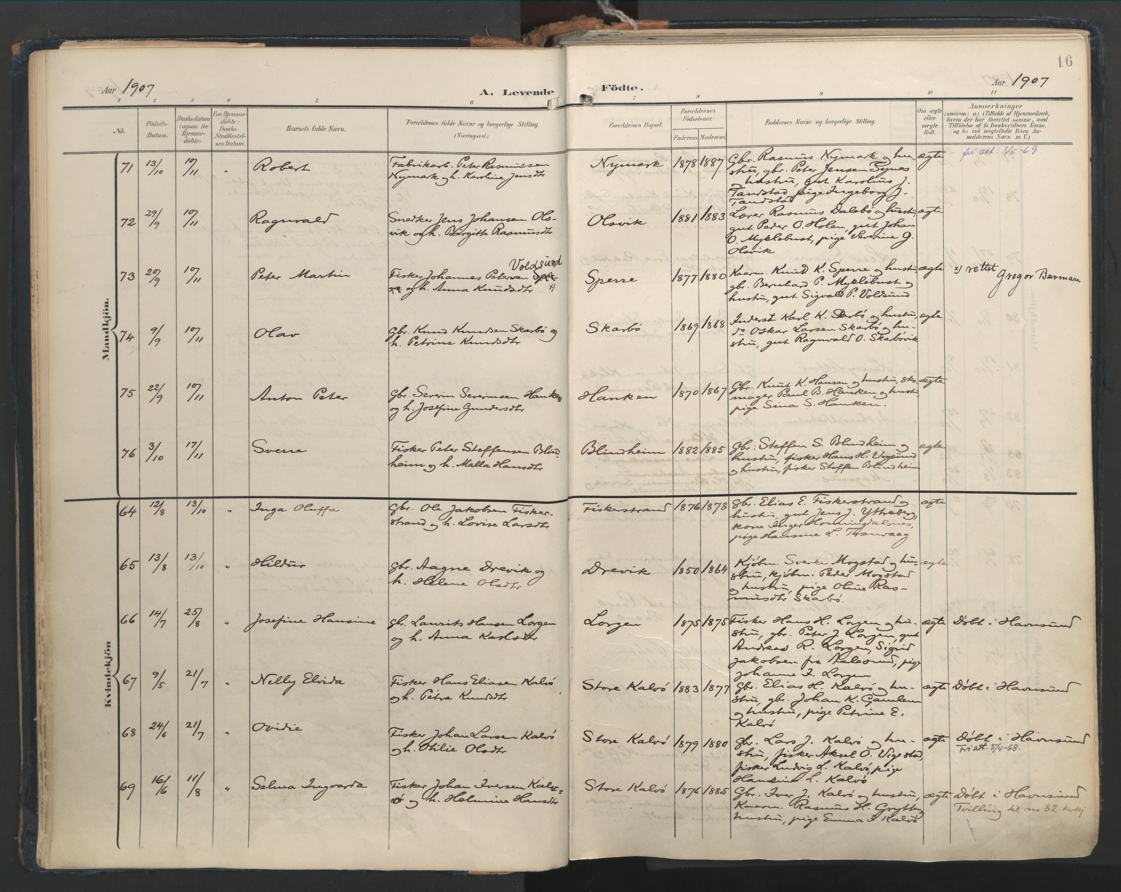 Ministerialprotokoller, klokkerbøker og fødselsregistre - Møre og Romsdal, AV/SAT-A-1454/528/L0411: Ministerialbok nr. 528A20, 1907-1920, s. 16