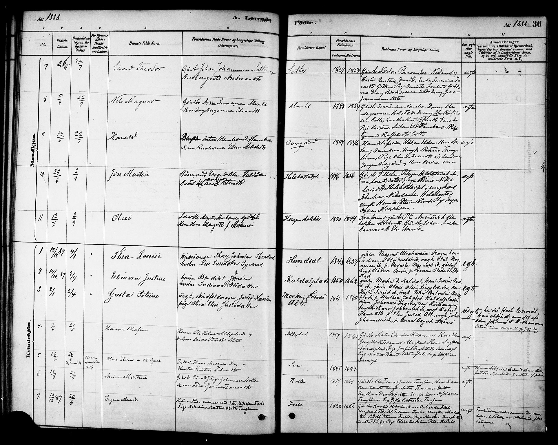Ministerialprotokoller, klokkerbøker og fødselsregistre - Nord-Trøndelag, SAT/A-1458/742/L0408: Ministerialbok nr. 742A01, 1878-1890, s. 36