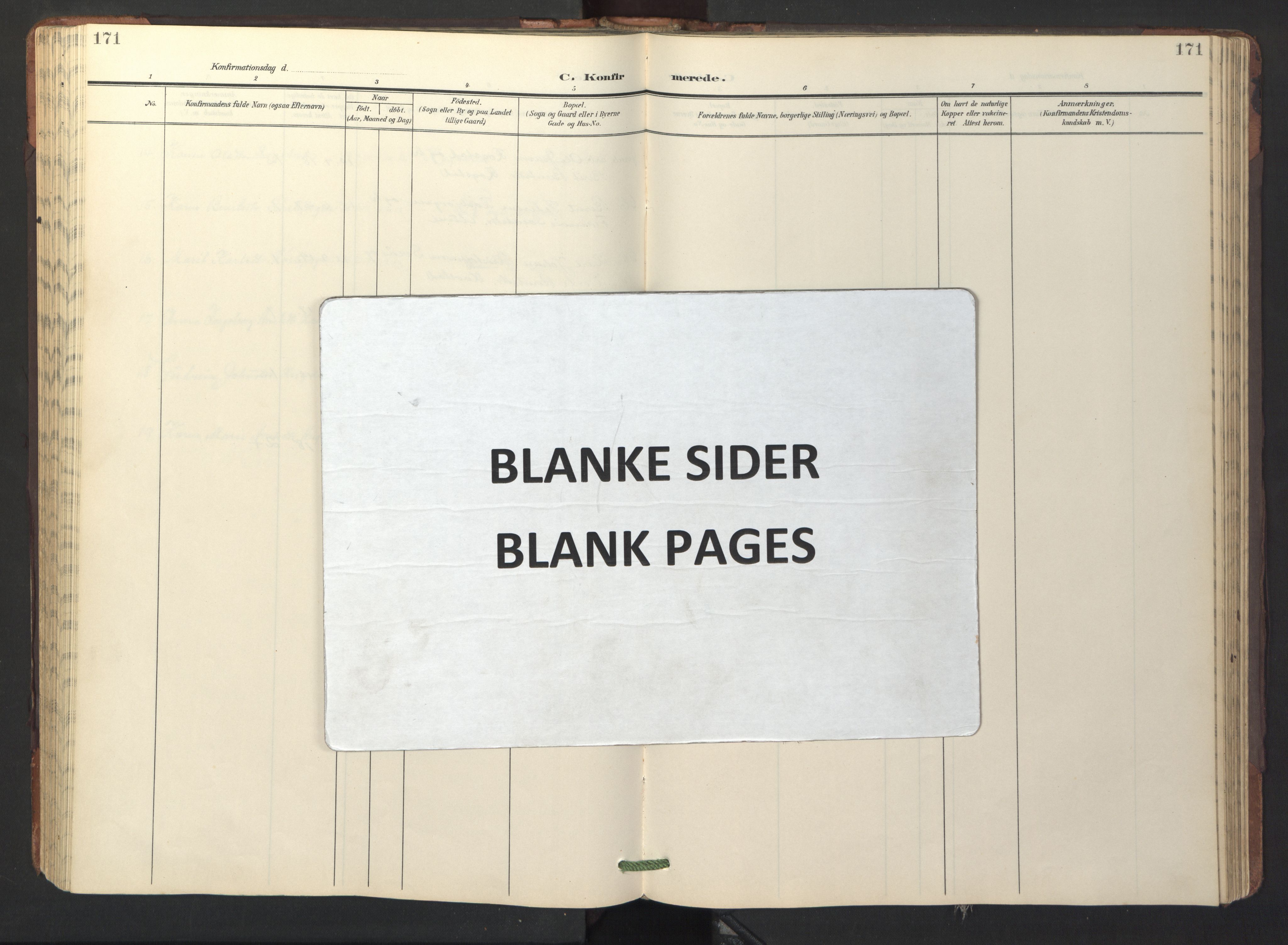 Ministerialprotokoller, klokkerbøker og fødselsregistre - Sør-Trøndelag, AV/SAT-A-1456/687/L1019: Klokkerbok nr. 687C03, 1904-1931, s. 171