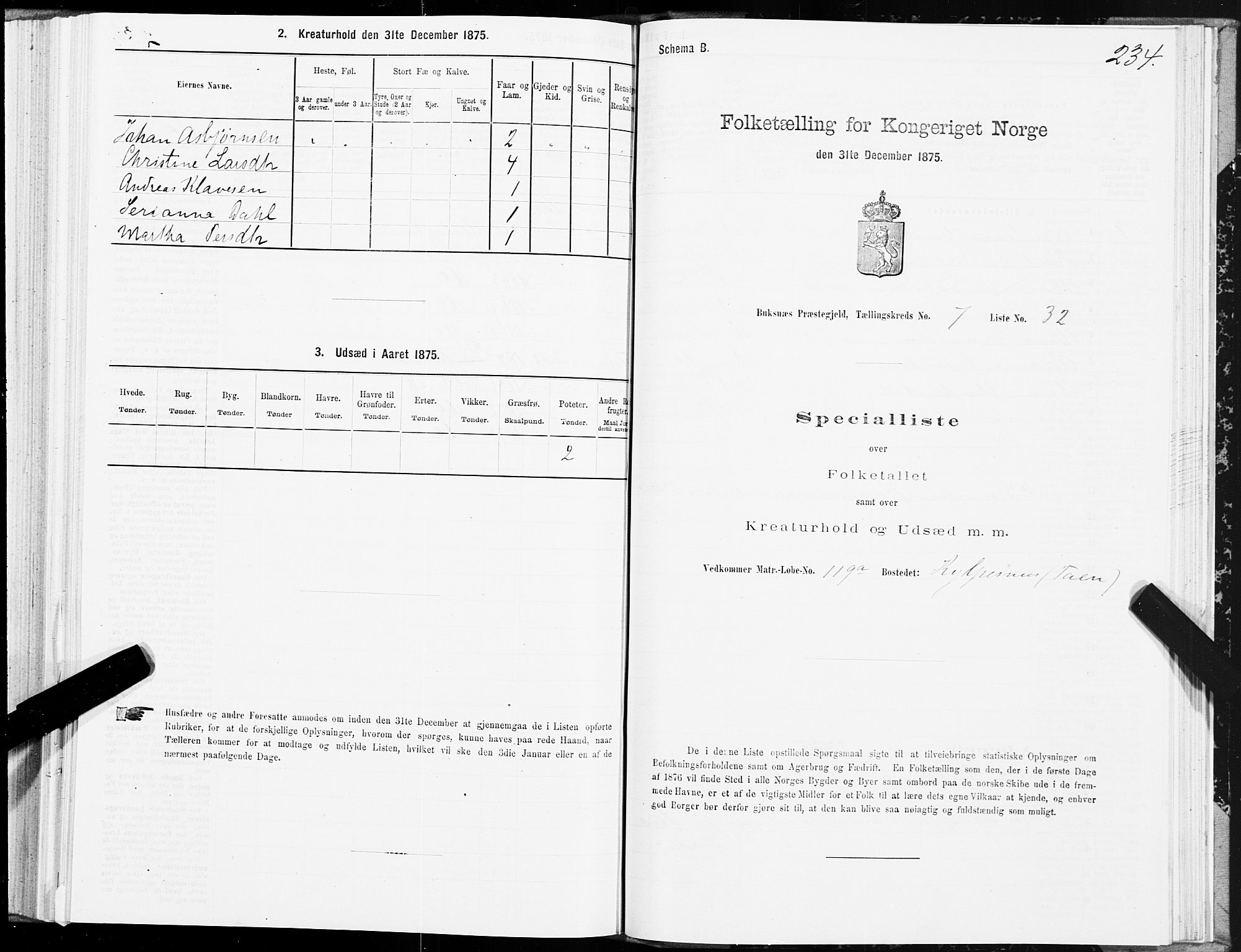 SAT, Folketelling 1875 for 1860P Buksnes prestegjeld, 1875, s. 3234