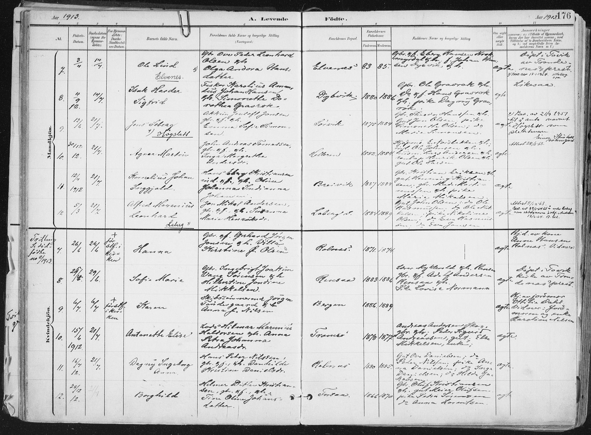 Ibestad sokneprestembete, AV/SATØ-S-0077/H/Ha/Haa/L0017kirke: Ministerialbok nr. 17, 1901-1914, s. 176