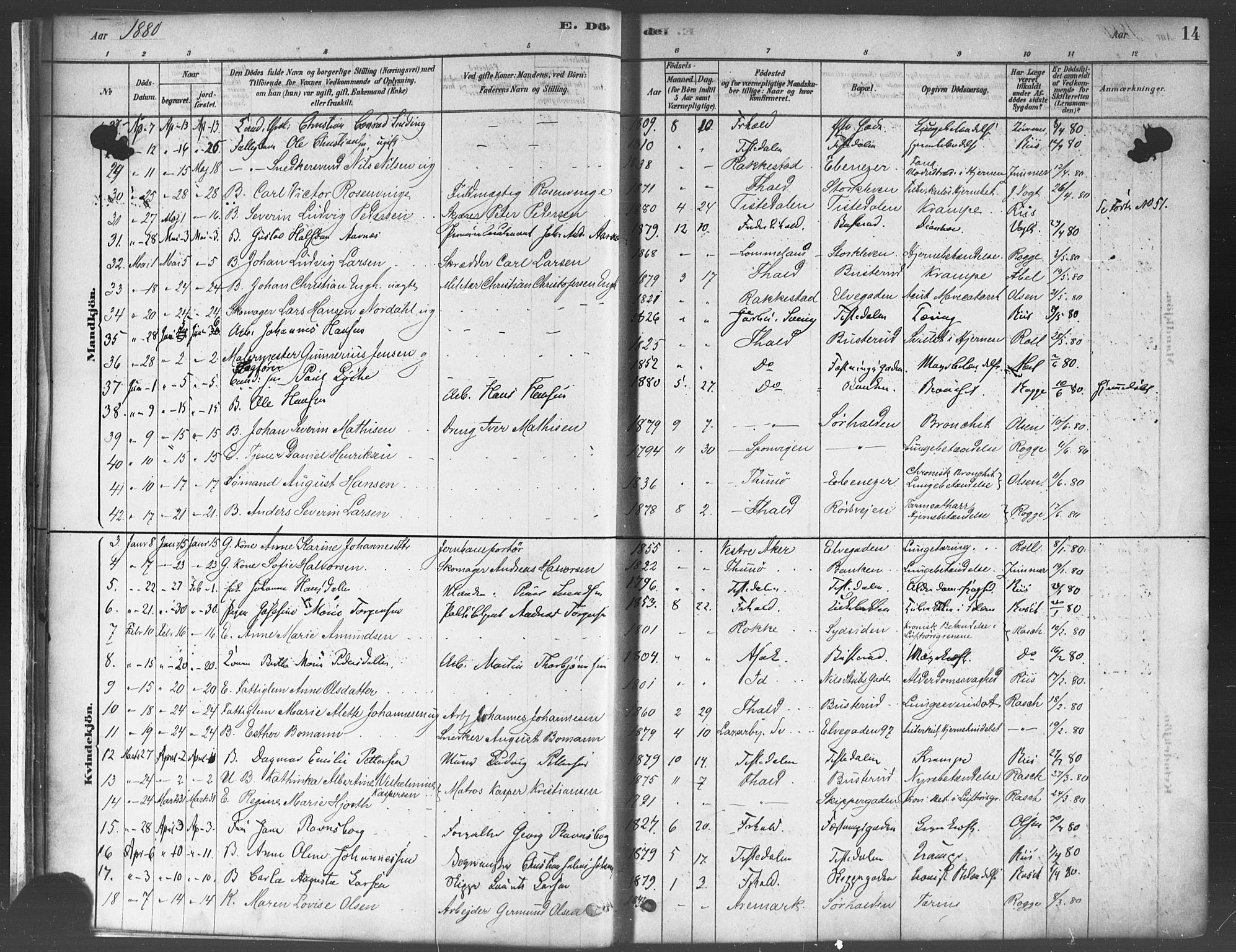 Halden prestekontor Kirkebøker, AV/SAO-A-10909/F/Fa/L0012: Ministerialbok nr. I 12, 1878-1889, s. 14