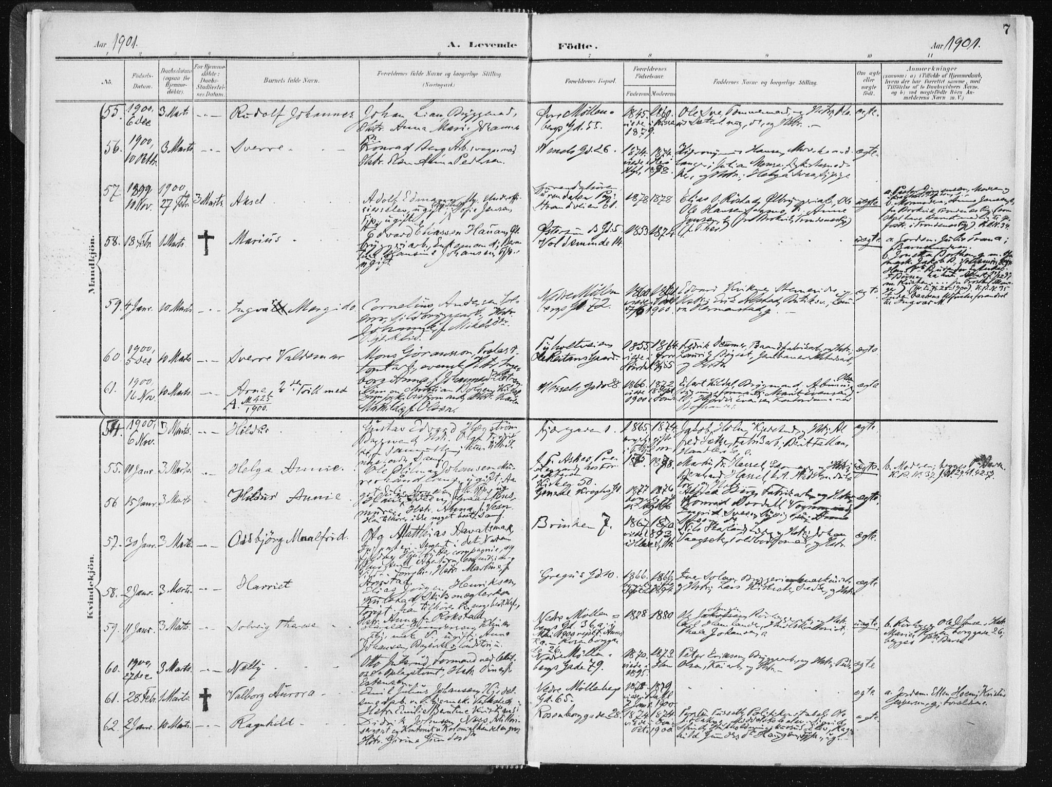 Ministerialprotokoller, klokkerbøker og fødselsregistre - Sør-Trøndelag, SAT/A-1456/604/L0199: Ministerialbok nr. 604A20I, 1901-1906, s. 7