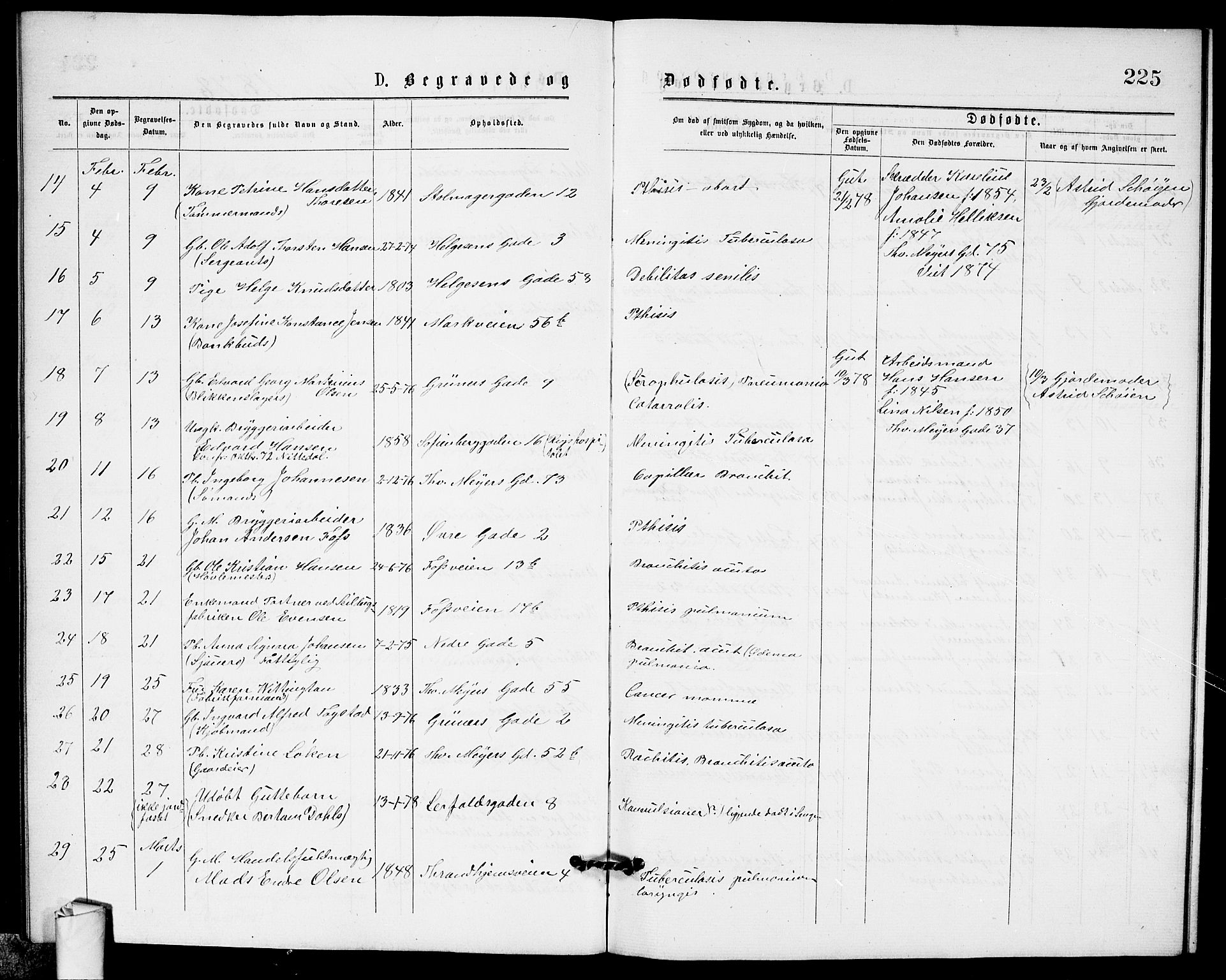 Paulus prestekontor Kirkebøker, AV/SAO-A-10871/G/Ga/L0001: Klokkerbok nr. 1, 1875-1878, s. 225