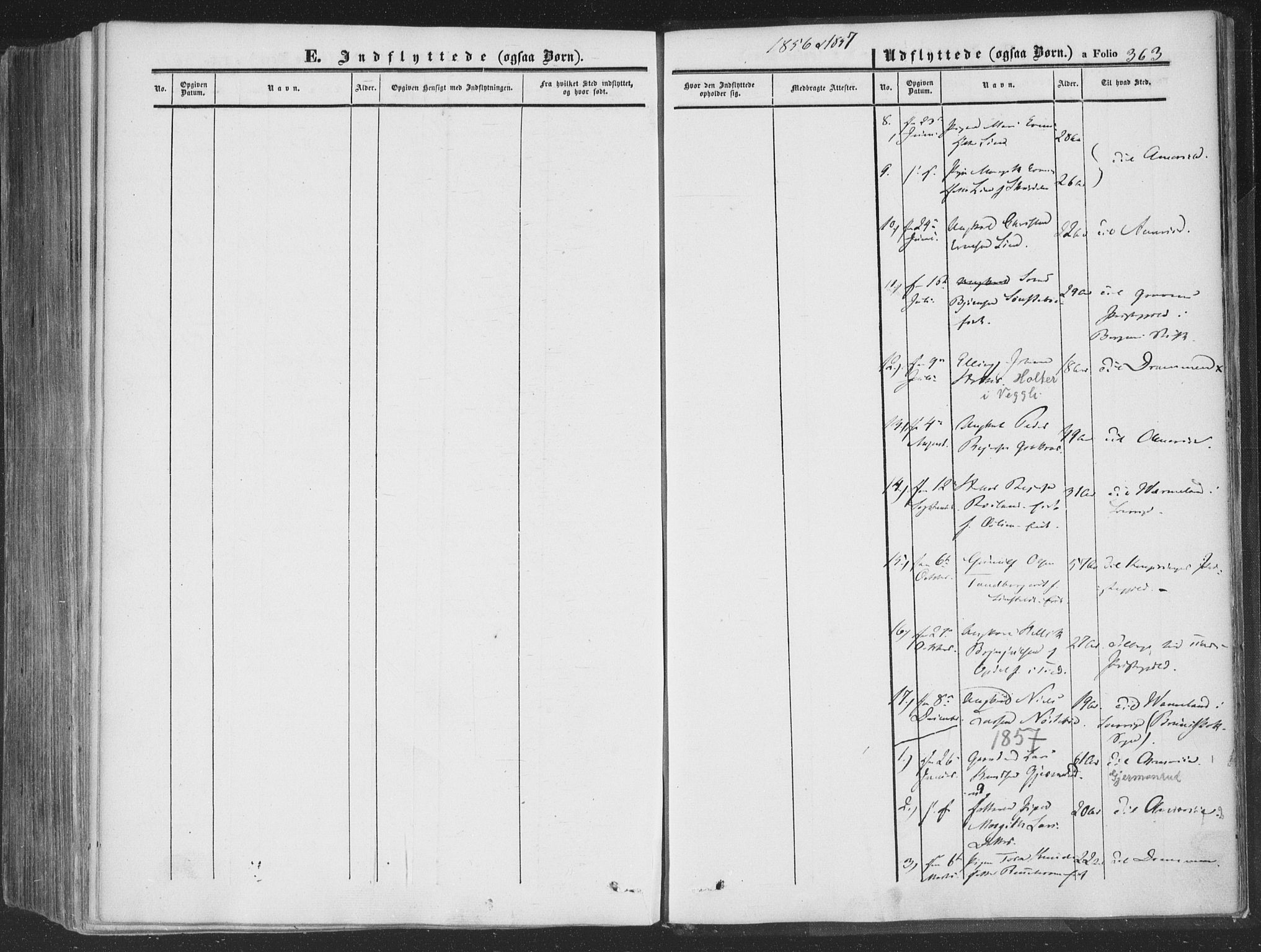 Rollag kirkebøker, AV/SAKO-A-240/F/Fa/L0008: Ministerialbok nr. I 8, 1847-1860, s. 363
